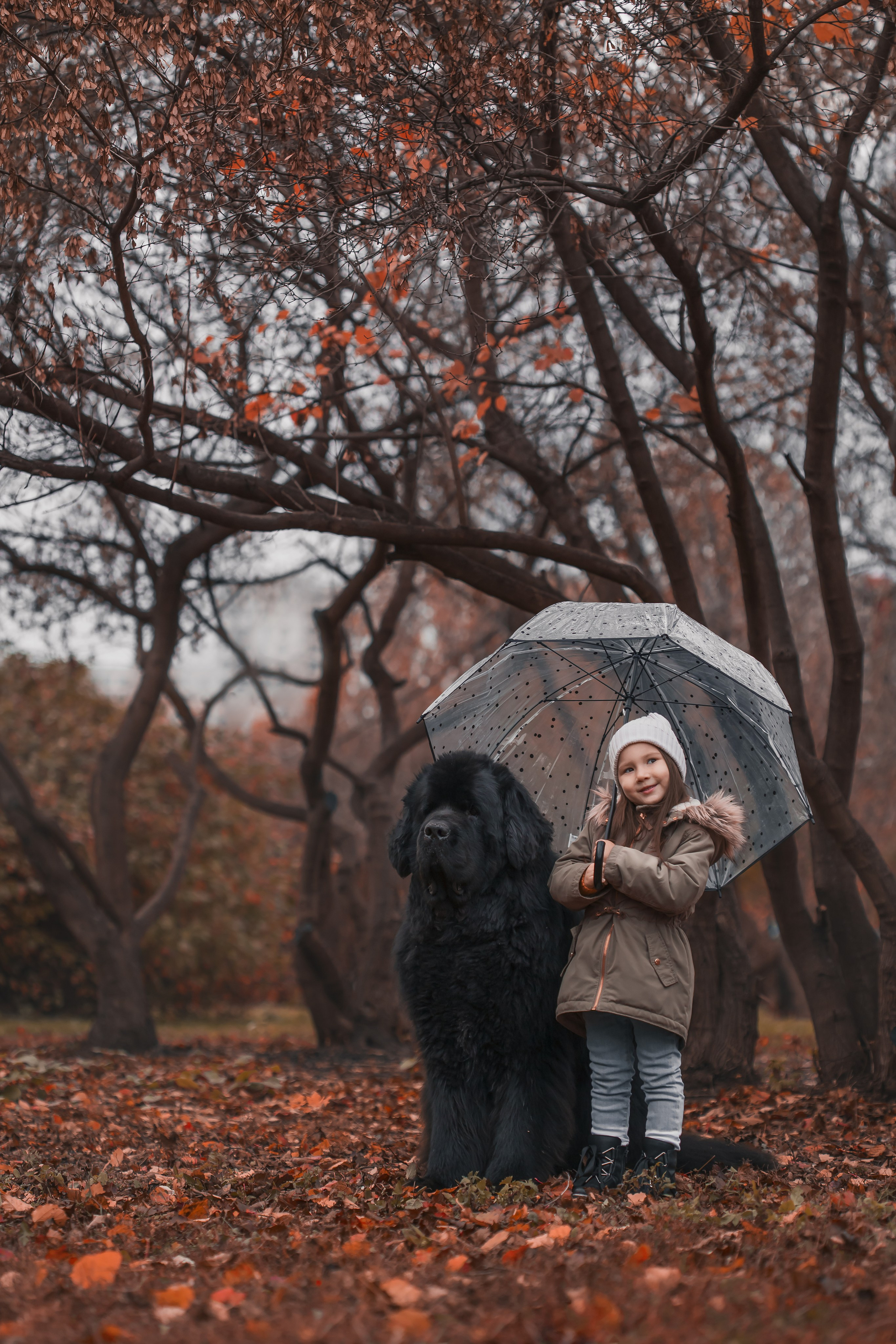 Творческие. Фотограф в Москве и МО Елизавета Якубенко