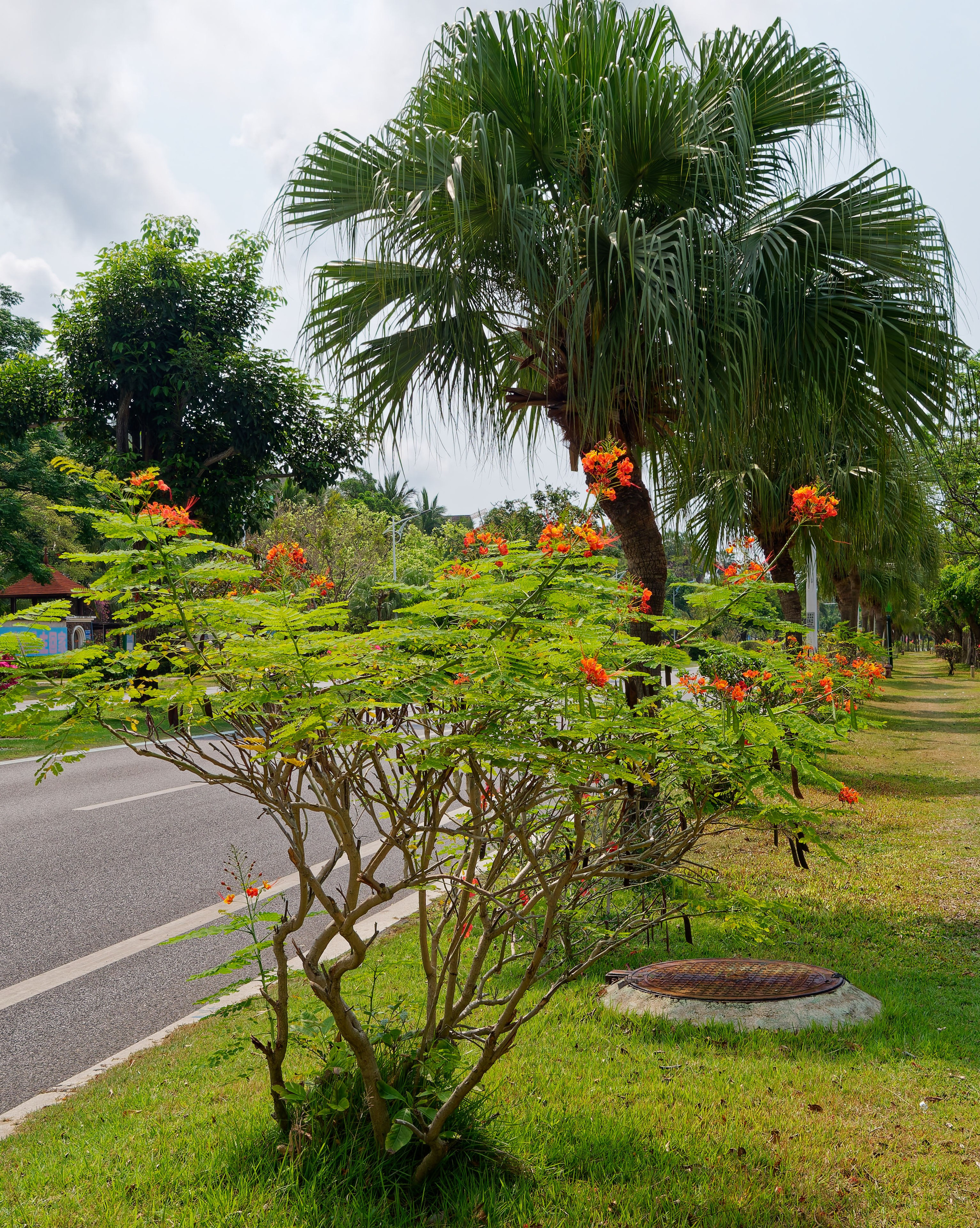 Хайнань 2026, улицы Ялунвань и Саньи. Фотопрогулки по Миру