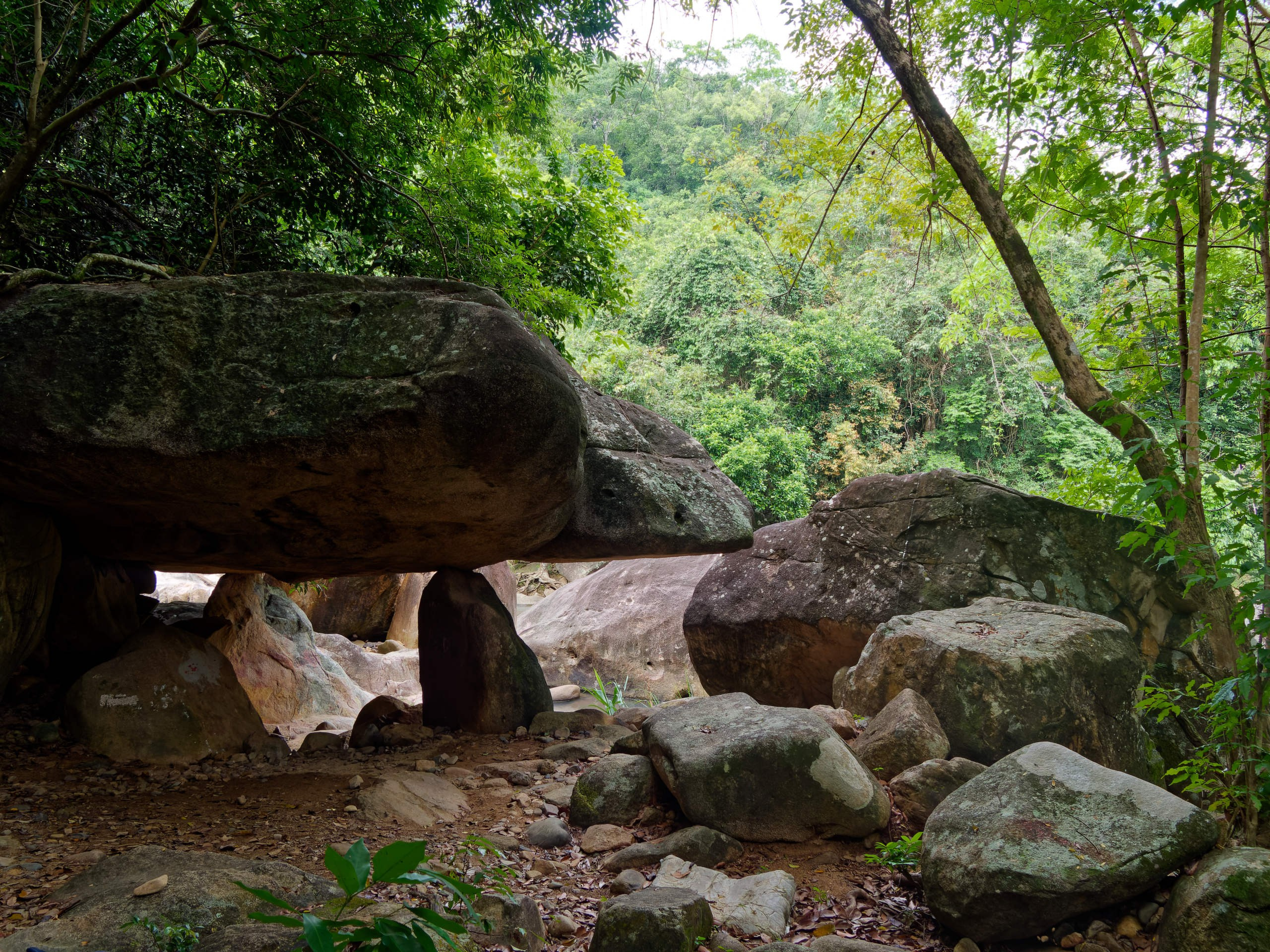 Нячанг 2025 (5). Избранные фотографии