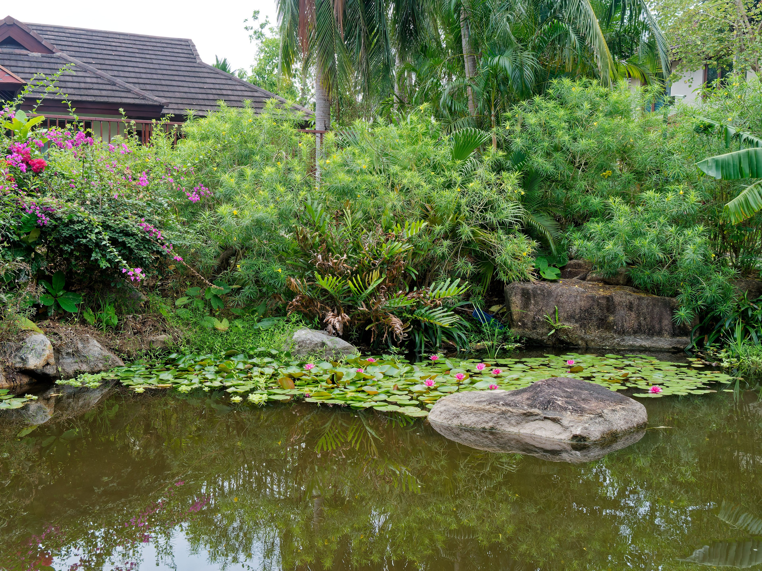 Хайнань 2026, отель «Stony Brook Villa Jianguo Resort Sanya 4*». Фотопрогулки по Миру