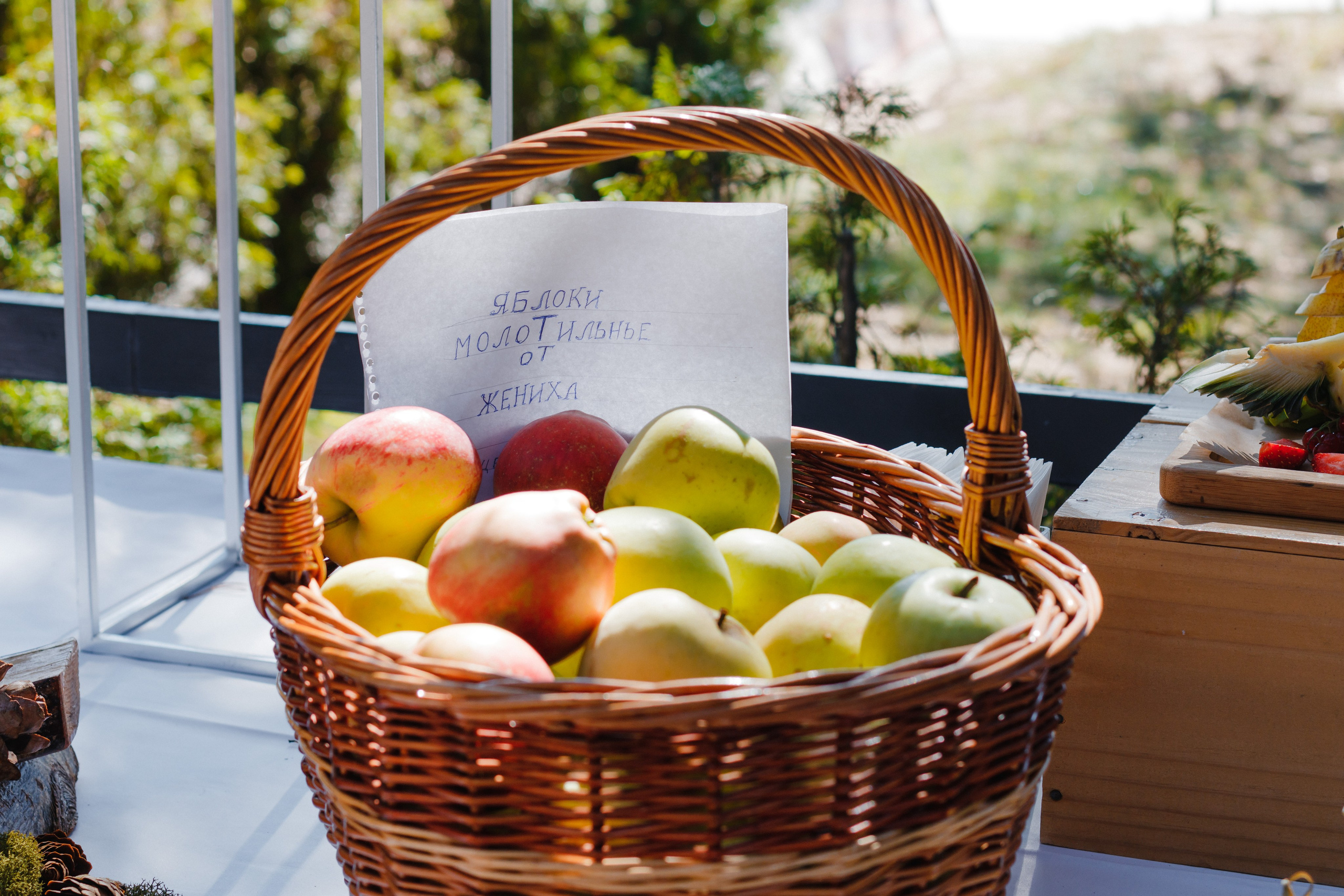 Свадебные. Коммерческий фотограф в Санкт-Петербурге (СПб) Екатерина Панчёха, Панчёшка
