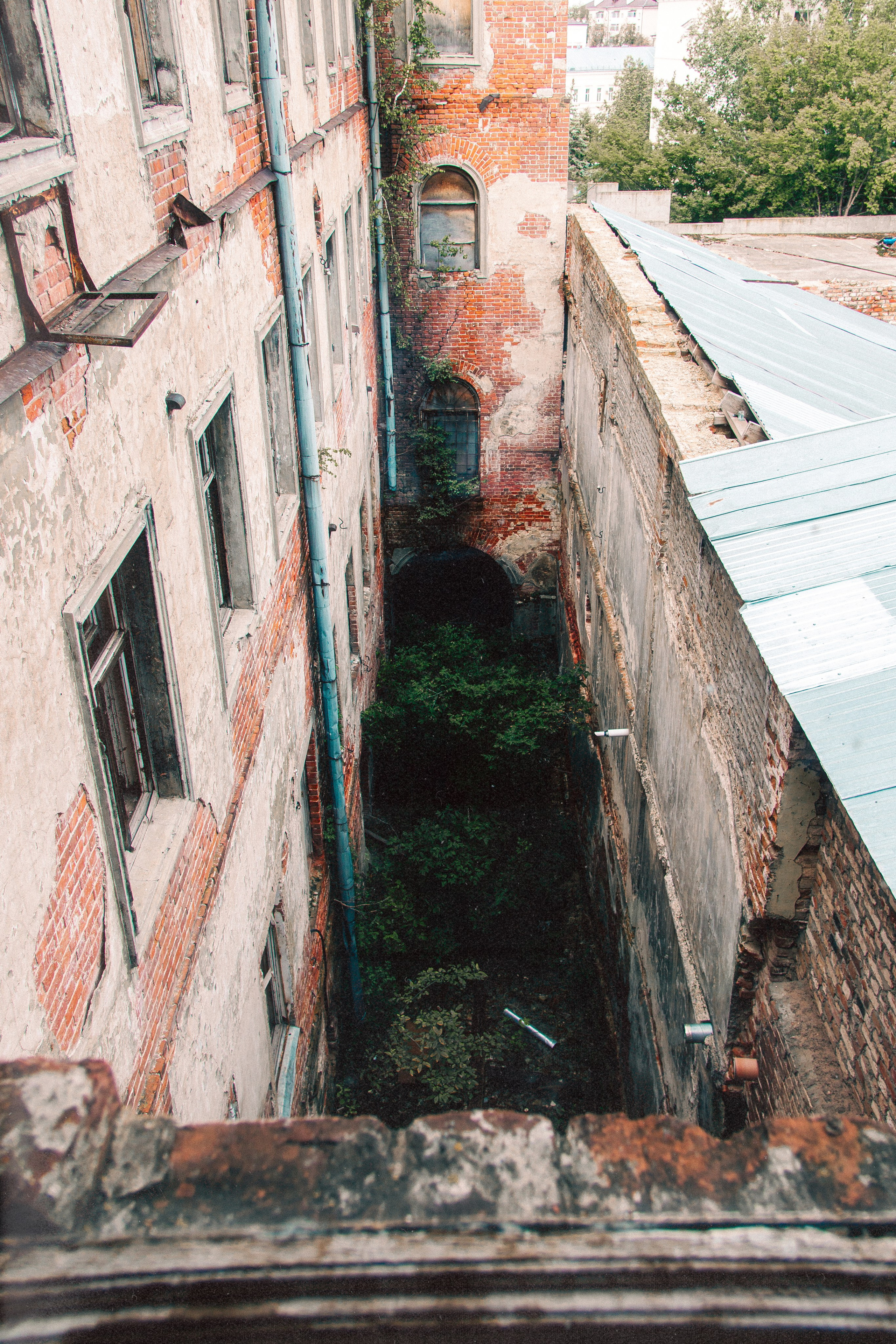 Александровский пассаж. Арсений Марасинский — фотограф в Казани