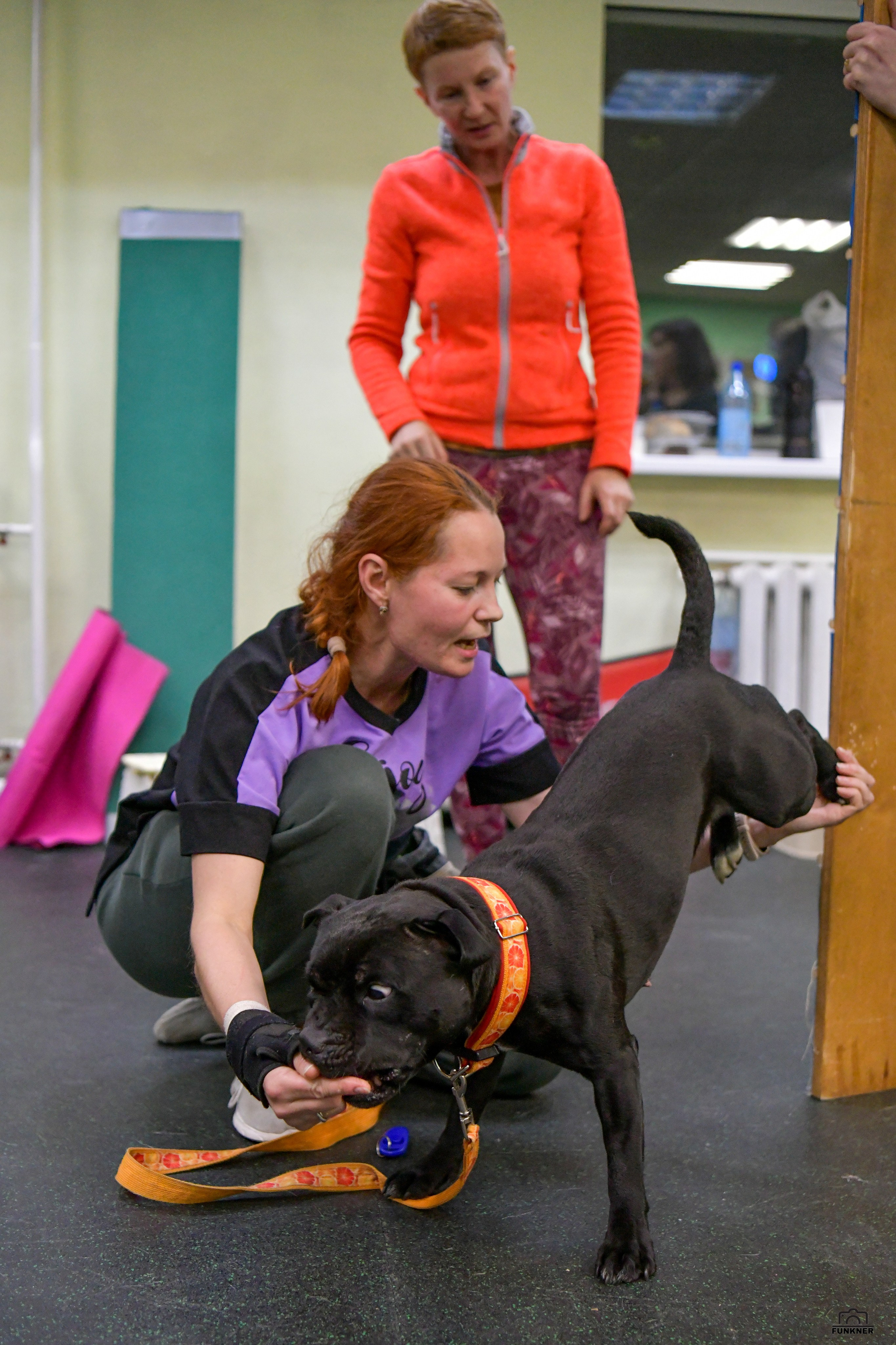 Кинологический клуб «Бодрый хвост». Свой взгляд через объектив