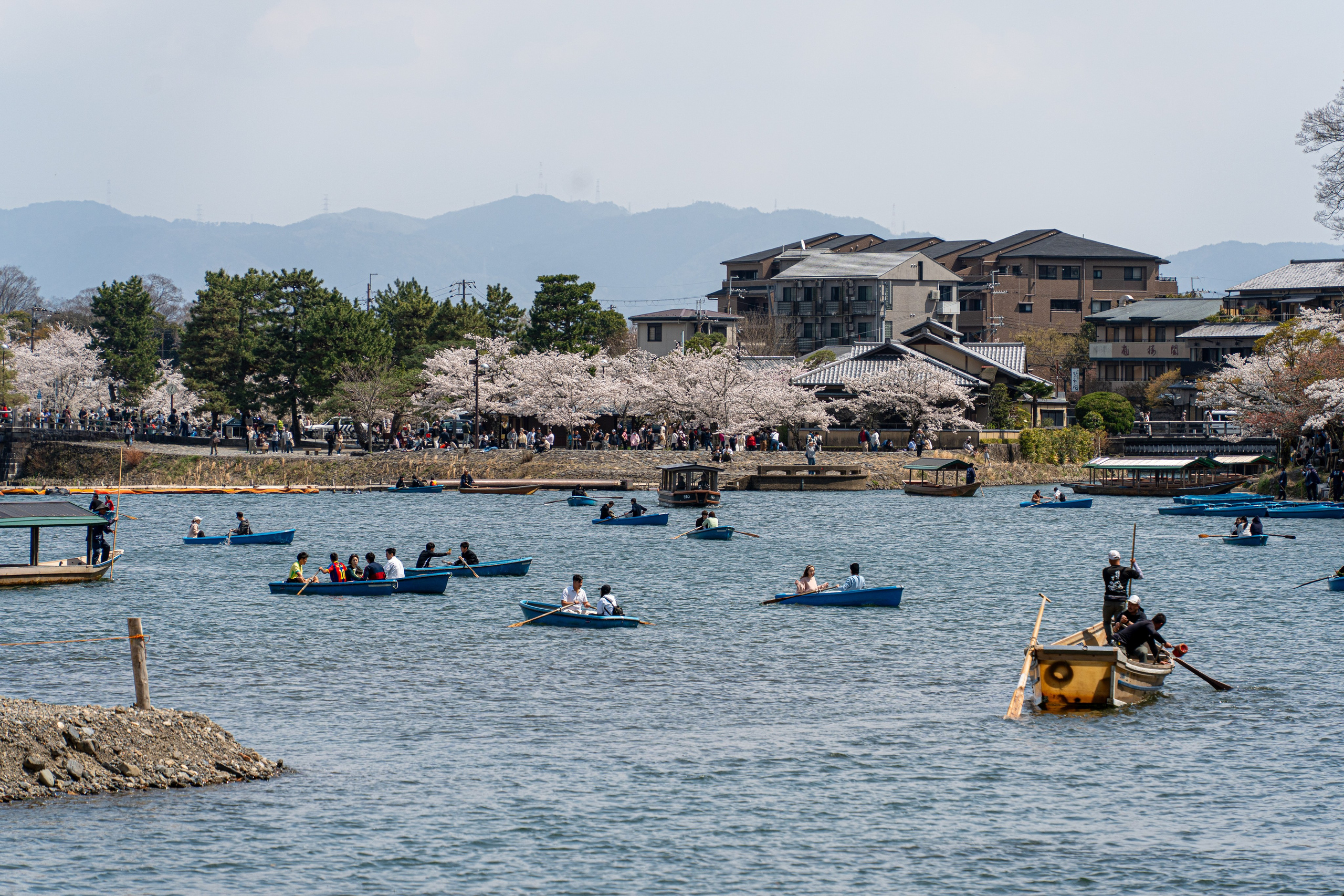 Япония, сакура. Творческие сьемки