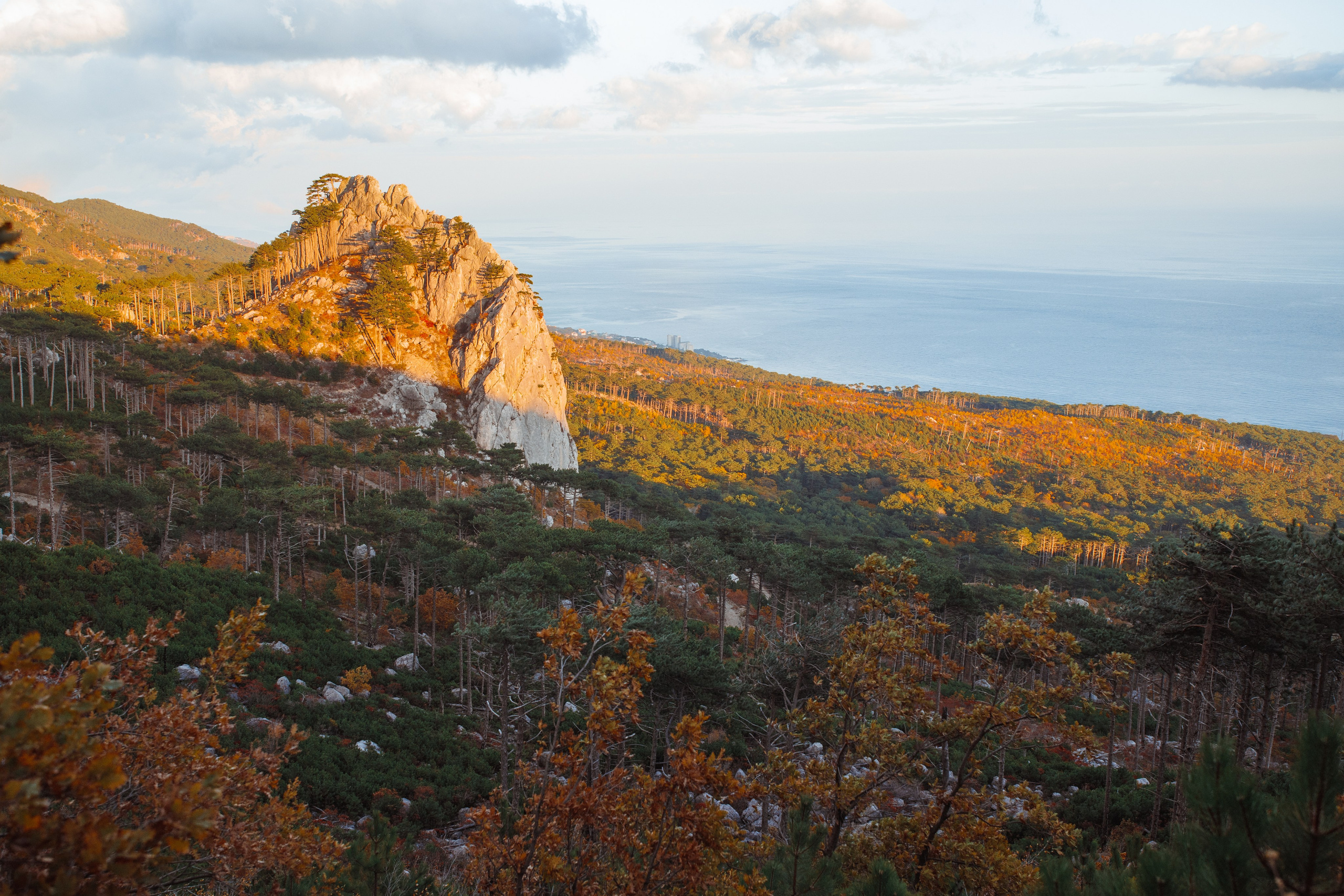 Nature. Артем Корнев Фотограф