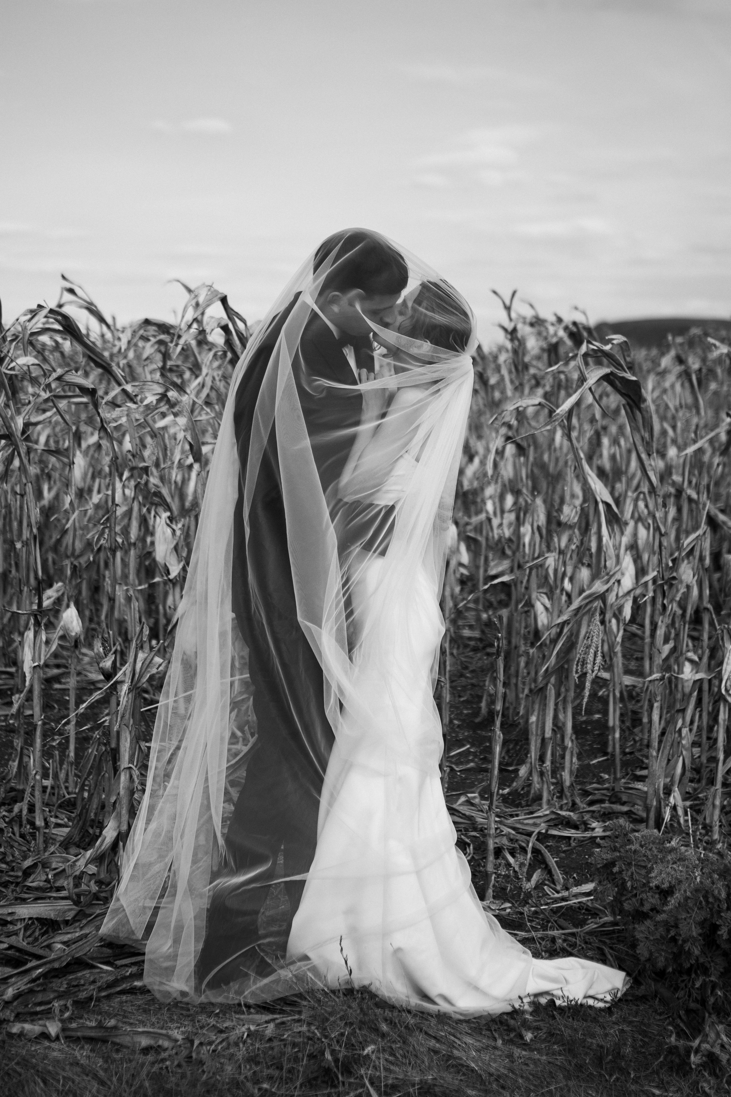 Wedding | Дмитрий и Диана. Фотограф в Санкт-Петербурге Милая Мила