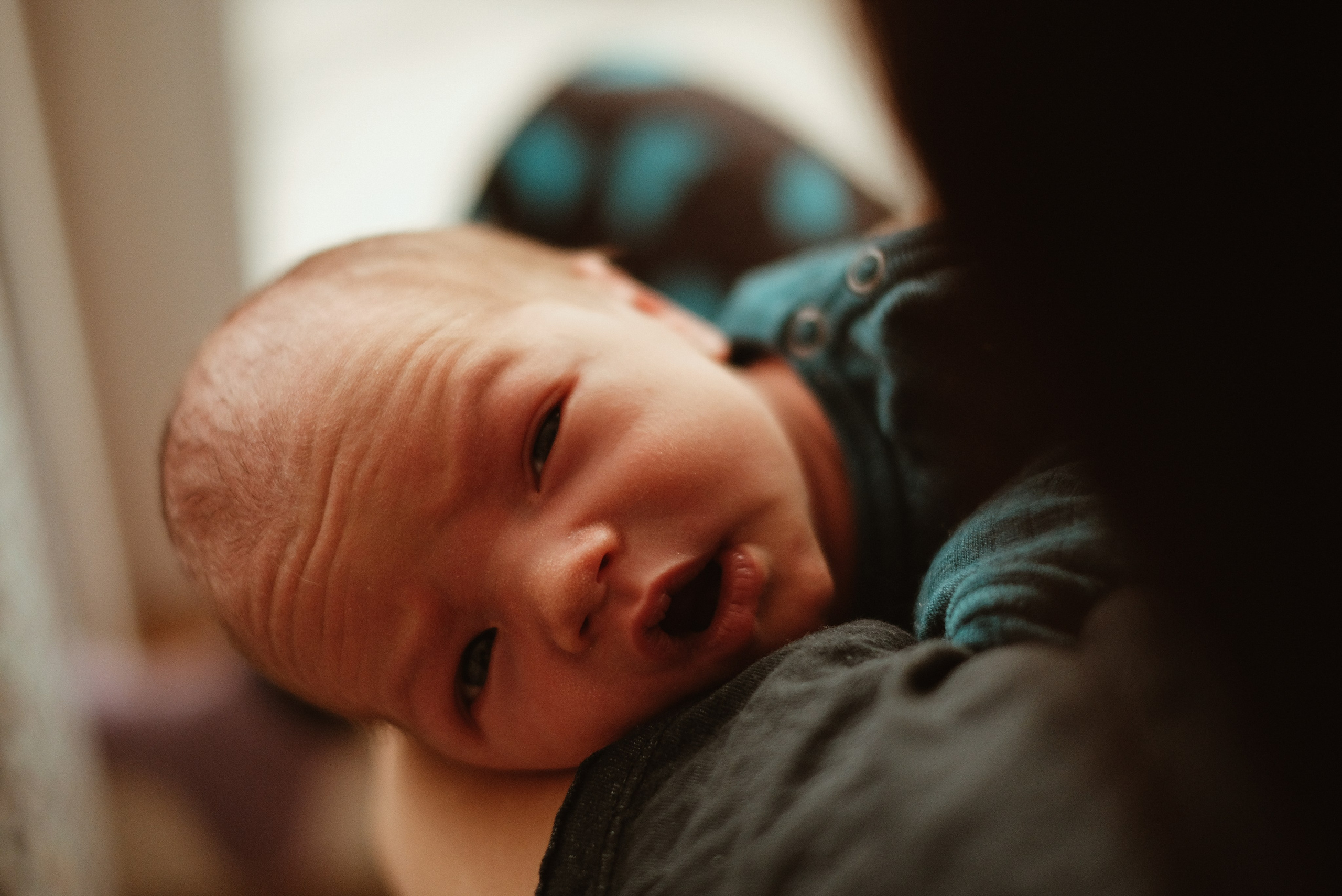 Эрдан. Семейный и портретный фотограф в Санкт-Петербурге Маргарита Кряклина