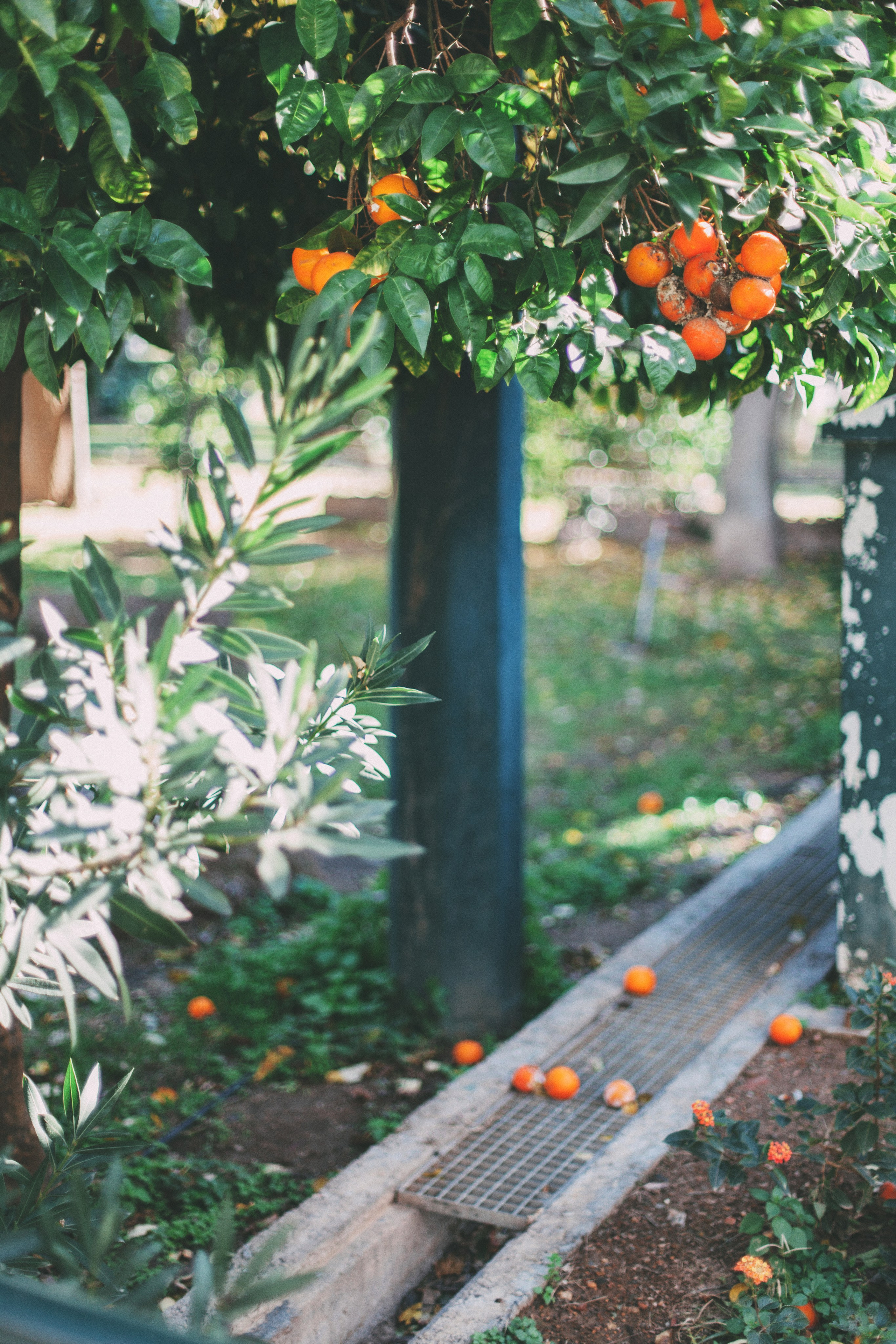 Афины. Аня Степанова