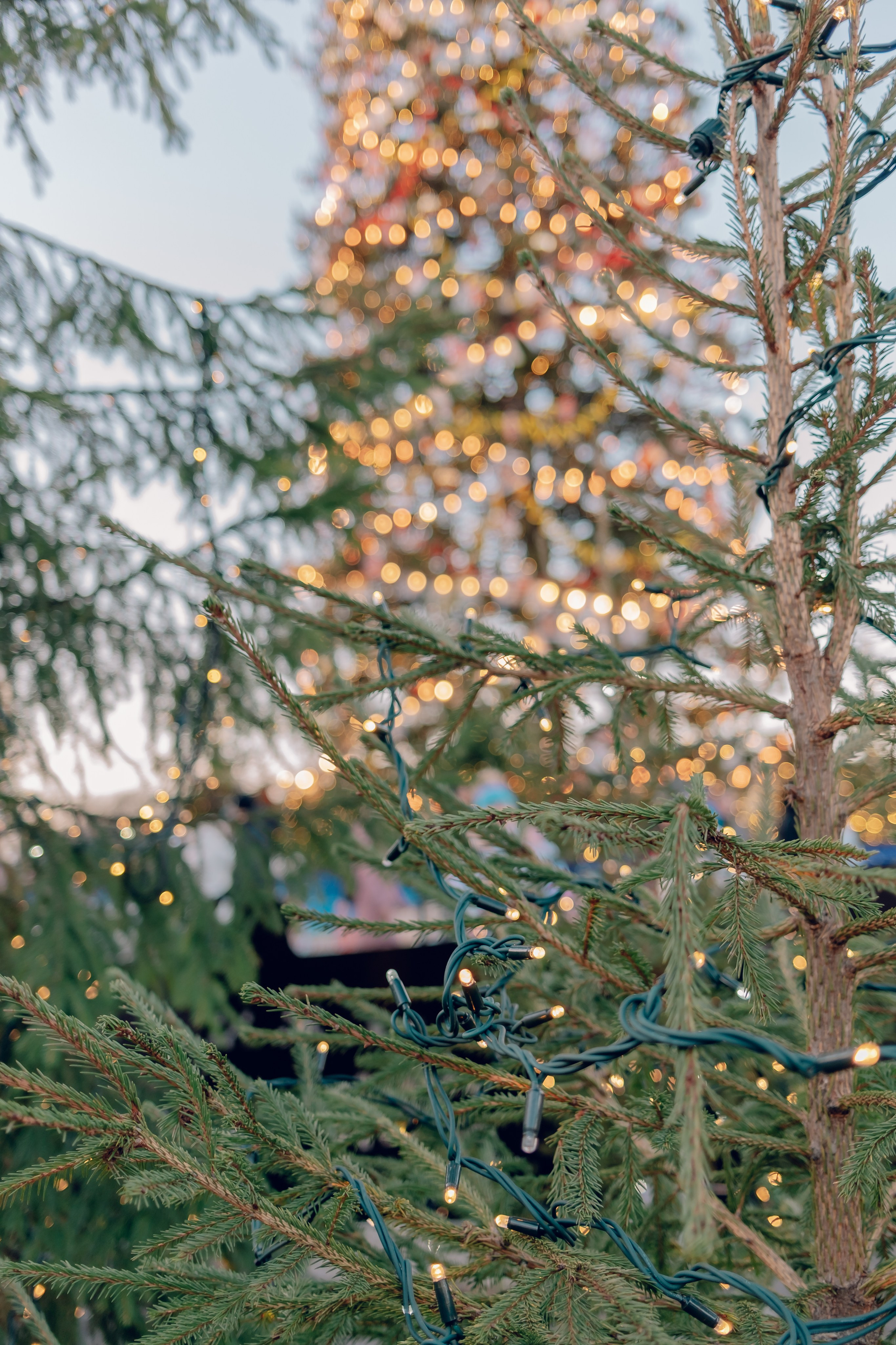 Санкт-Петербург. Аня Степанова