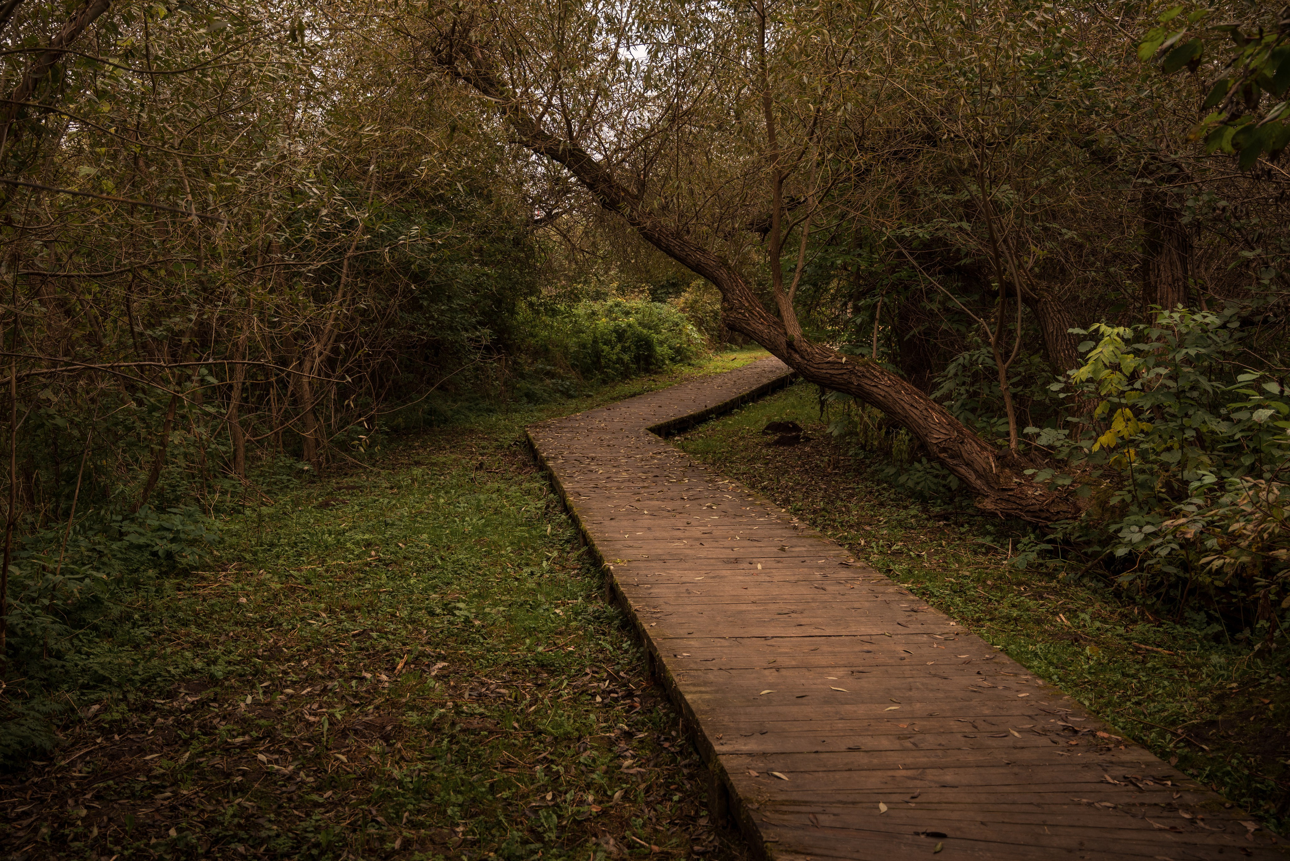 Места. Фотограф в Минске Дарья Кончакова