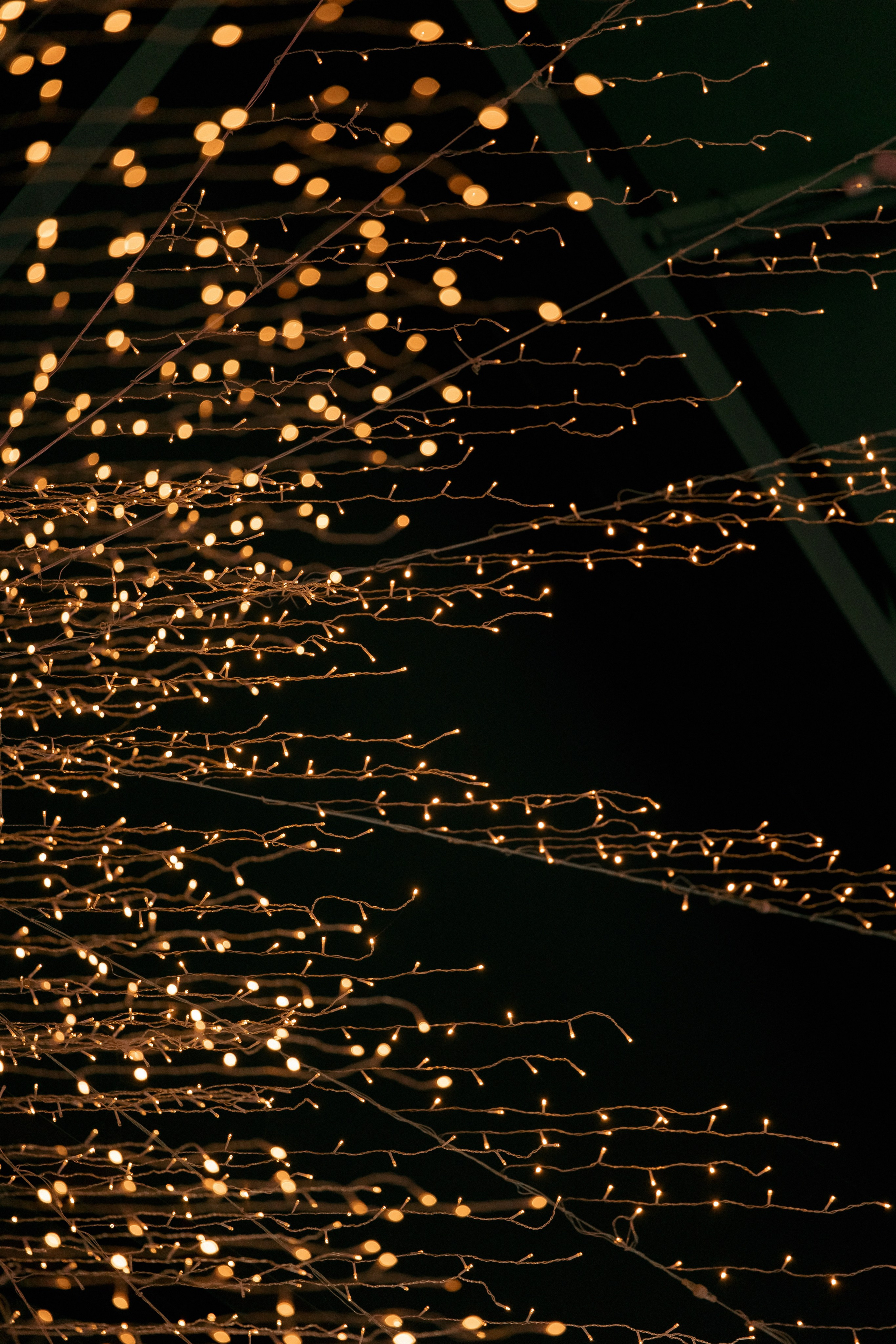 ЛЕС Event House выездная регистрация и свадебный банкет на площадке ЛЕС. Свадебный фотограф Москва