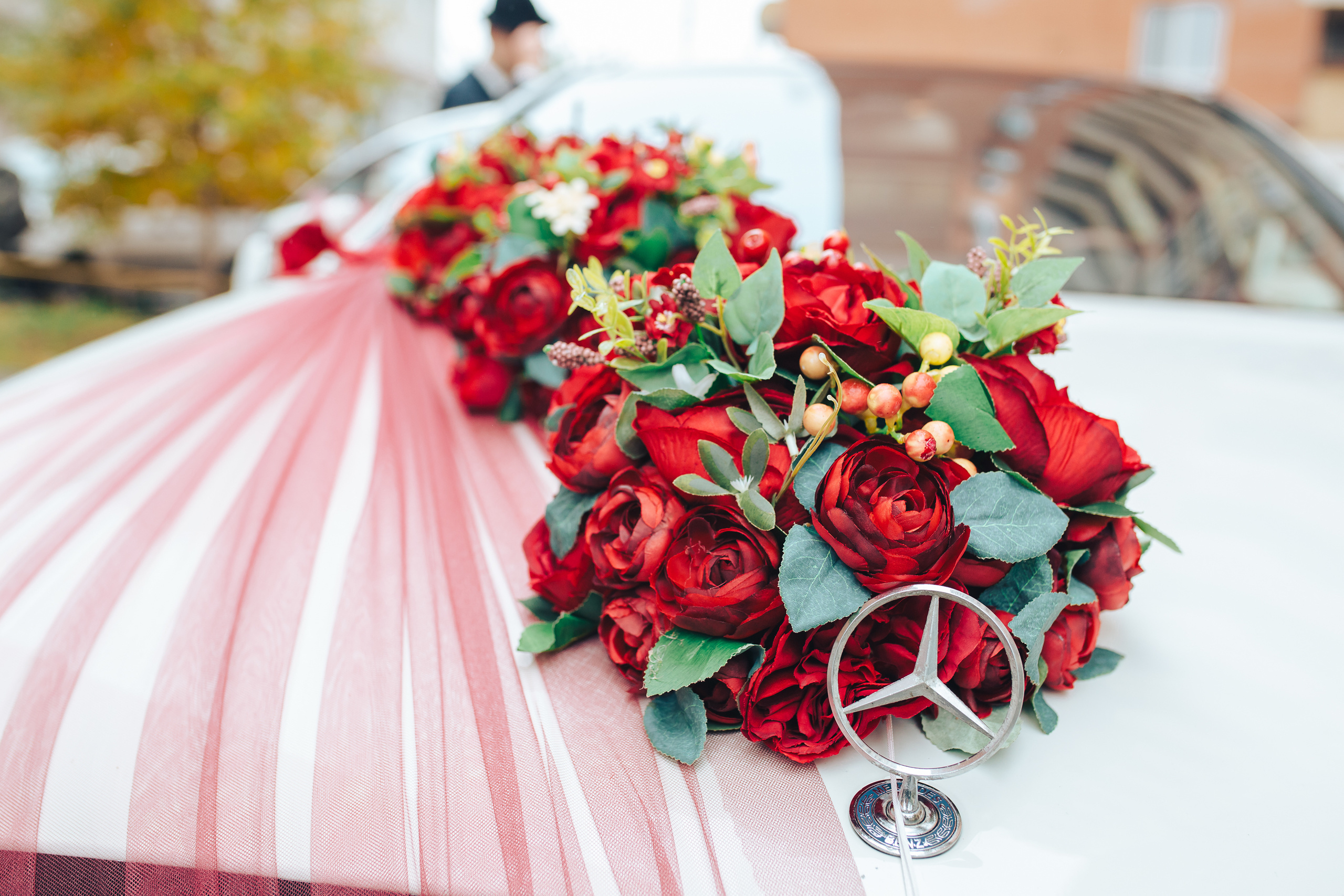 Виктория и Александр!. Фотограф Валерий Савиовский