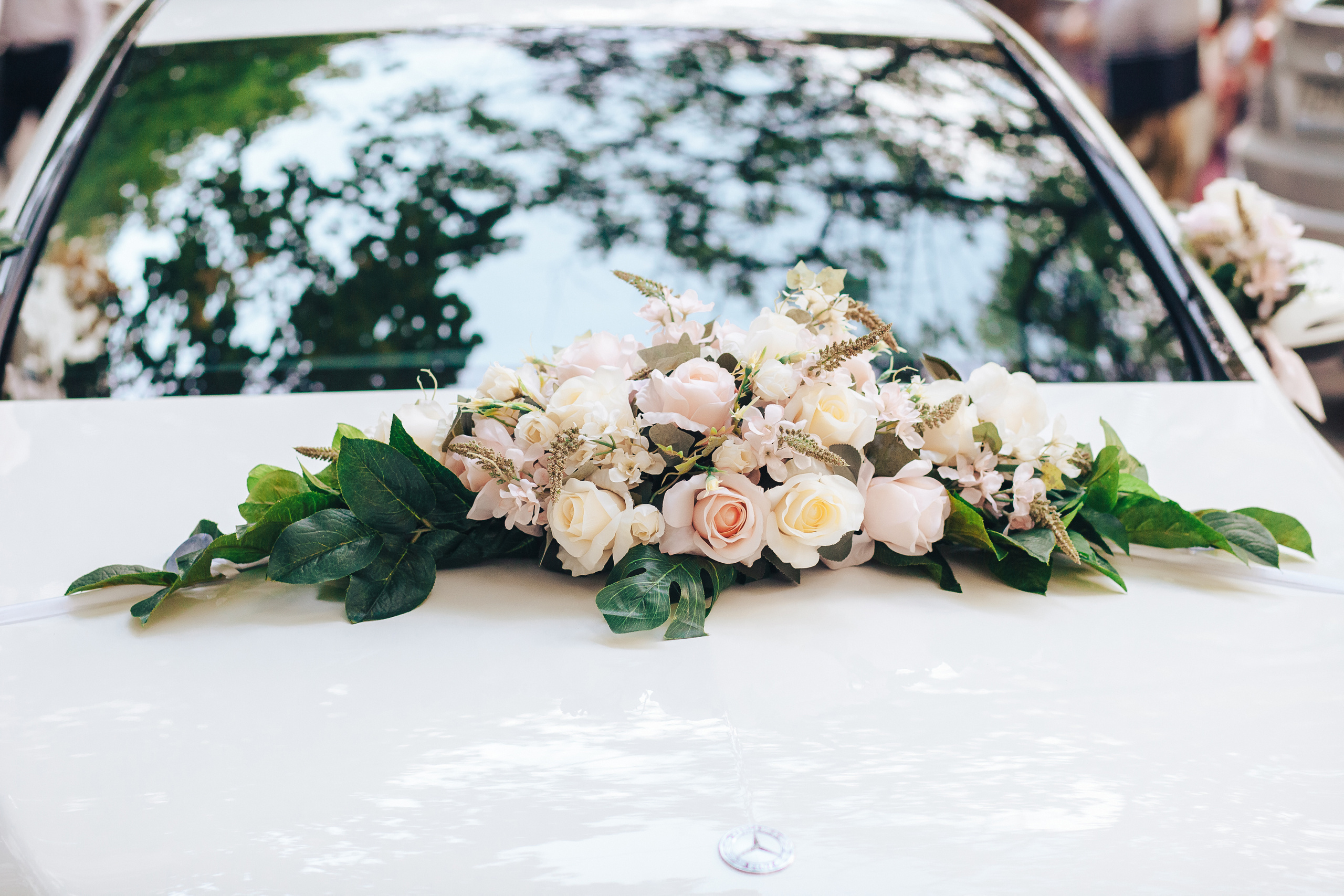 Оля и Коля!. Фотограф Валерий Савиовский