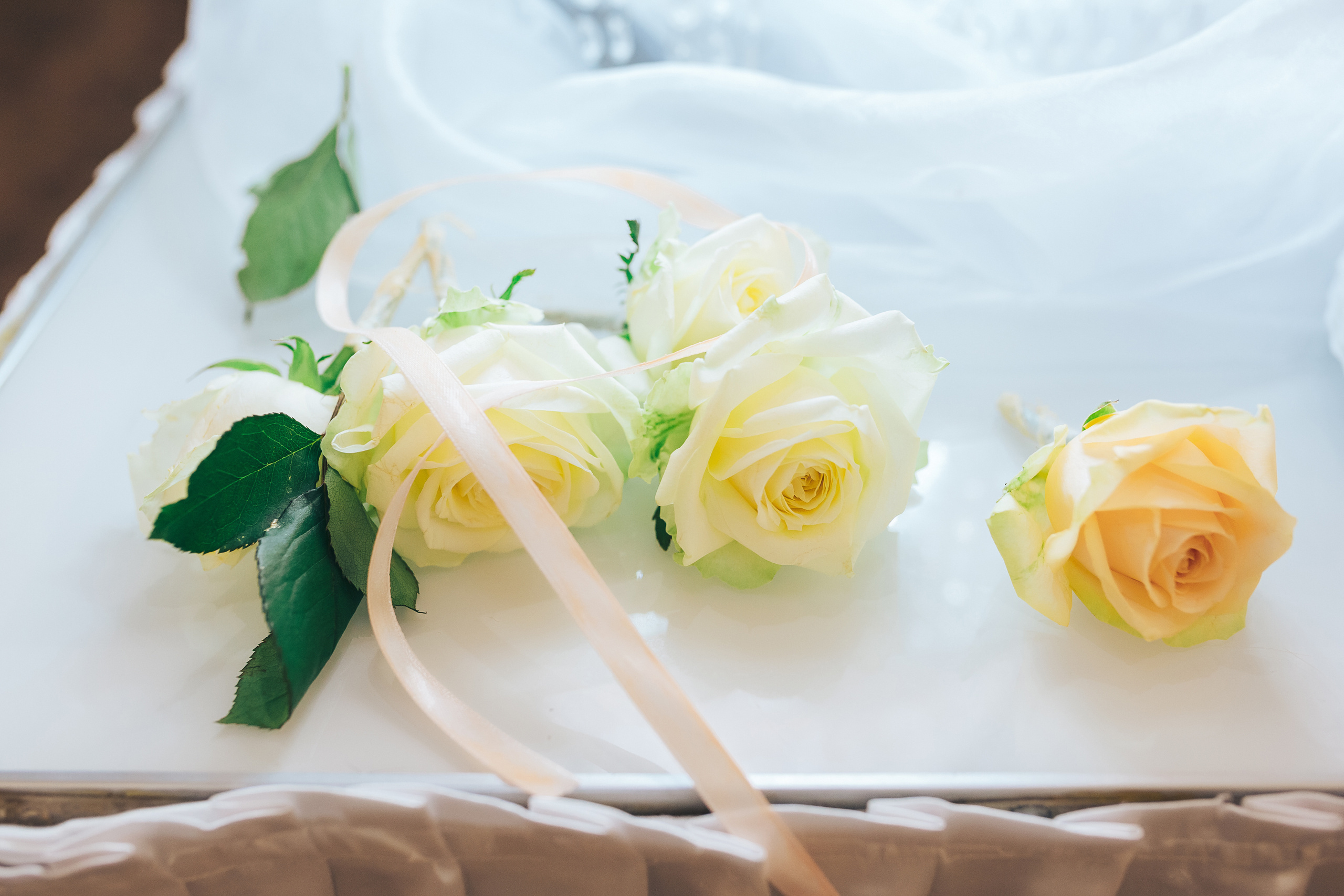 Оля и Коля!. Фотограф Валерий Савиовский