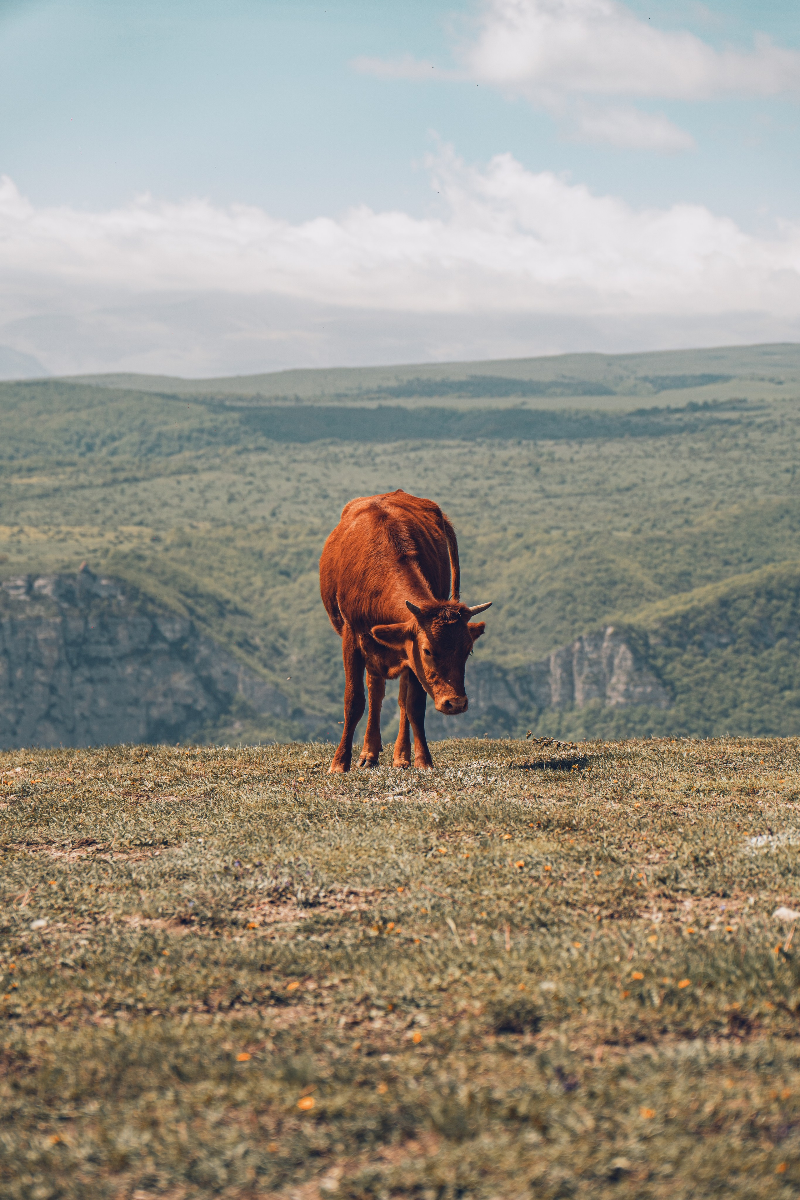 Дагестан. Gusarov Travel Photography