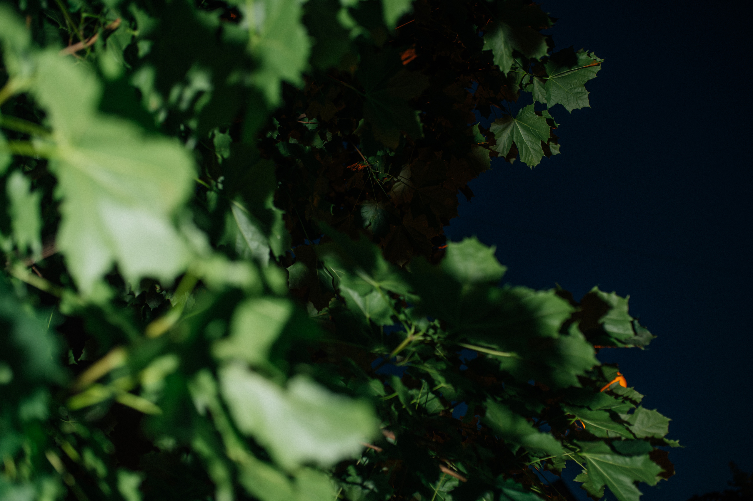 Ira+Max. Фотограф в Петрозаводске