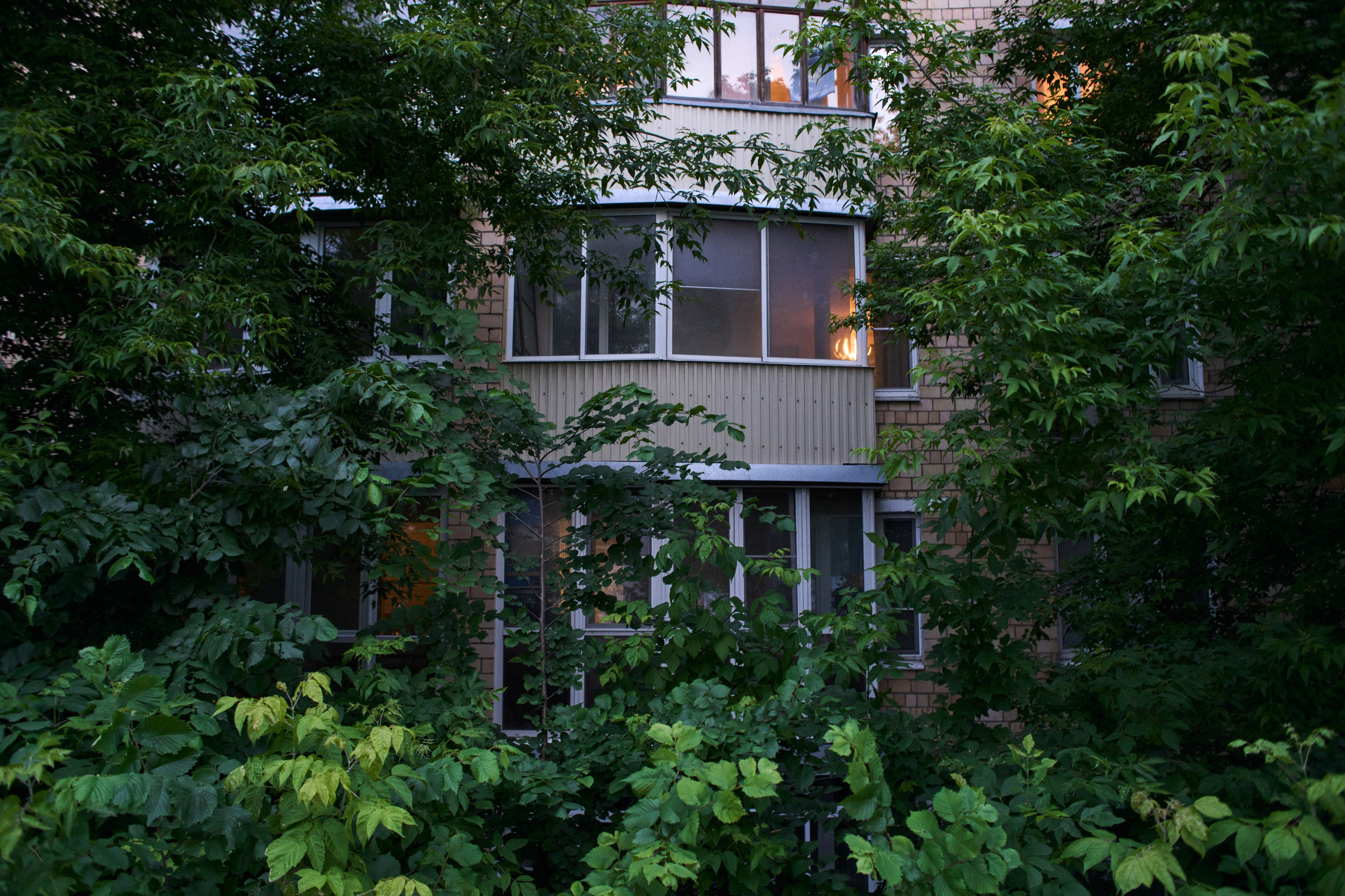 Music. Василий Буйлов|Vasilii Būilov