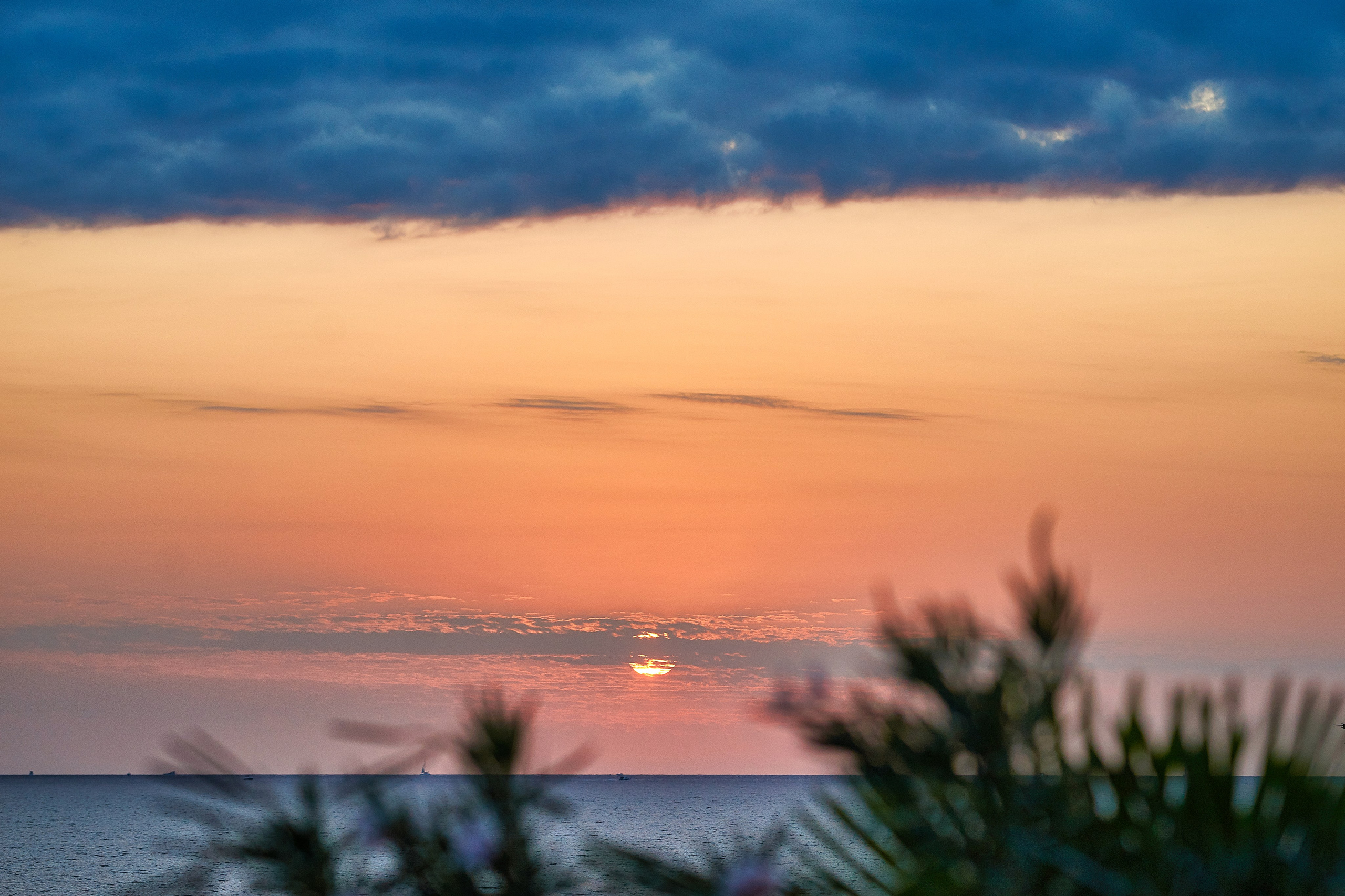 Наша мать — природа. Фотограф Владимир Артамонов