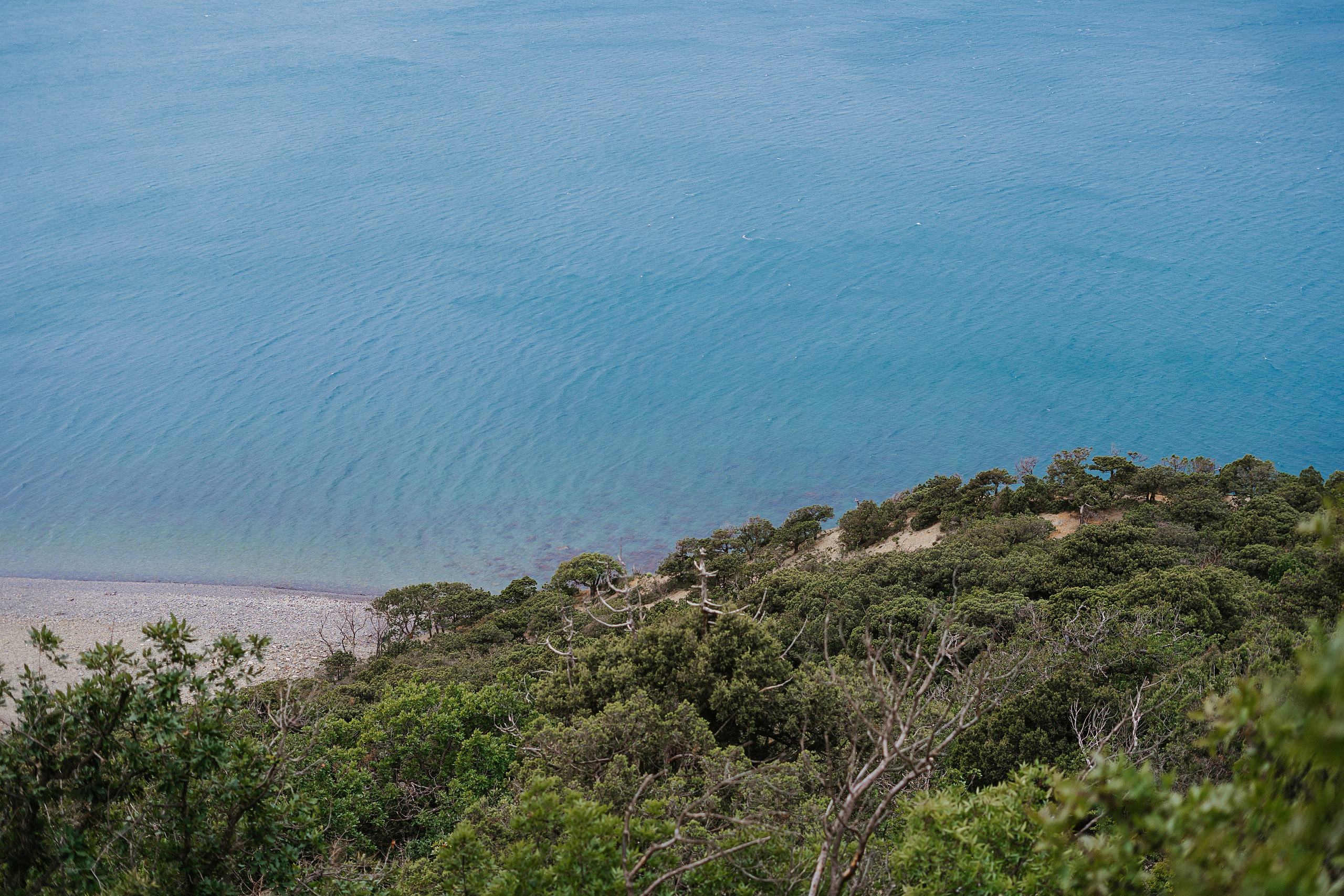 Море. Свадебный и семейный фотограф/видеограф в Краснодаре Наталья Осинская