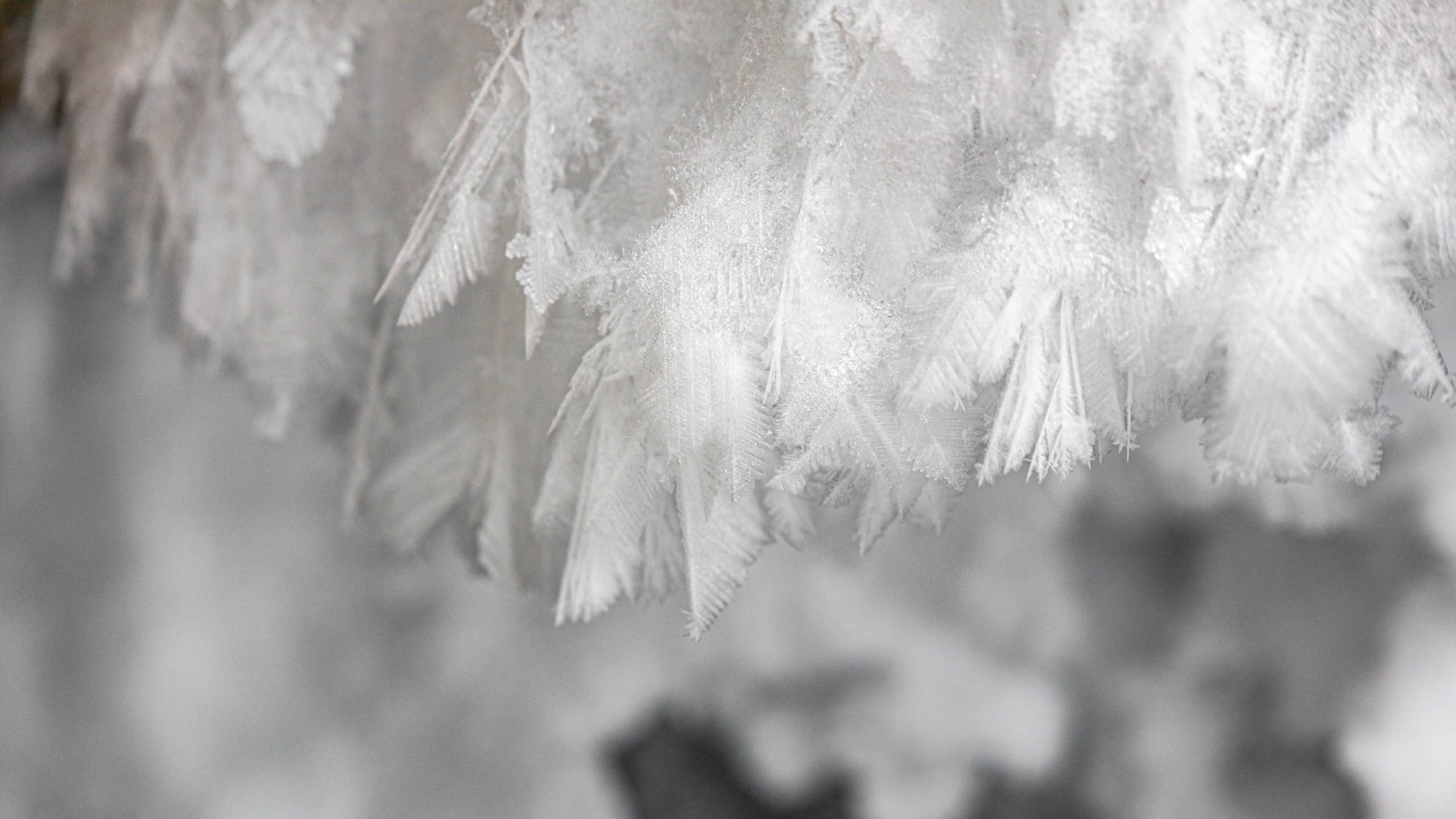 2022 02 Иркутск, Байкал. Фотографии