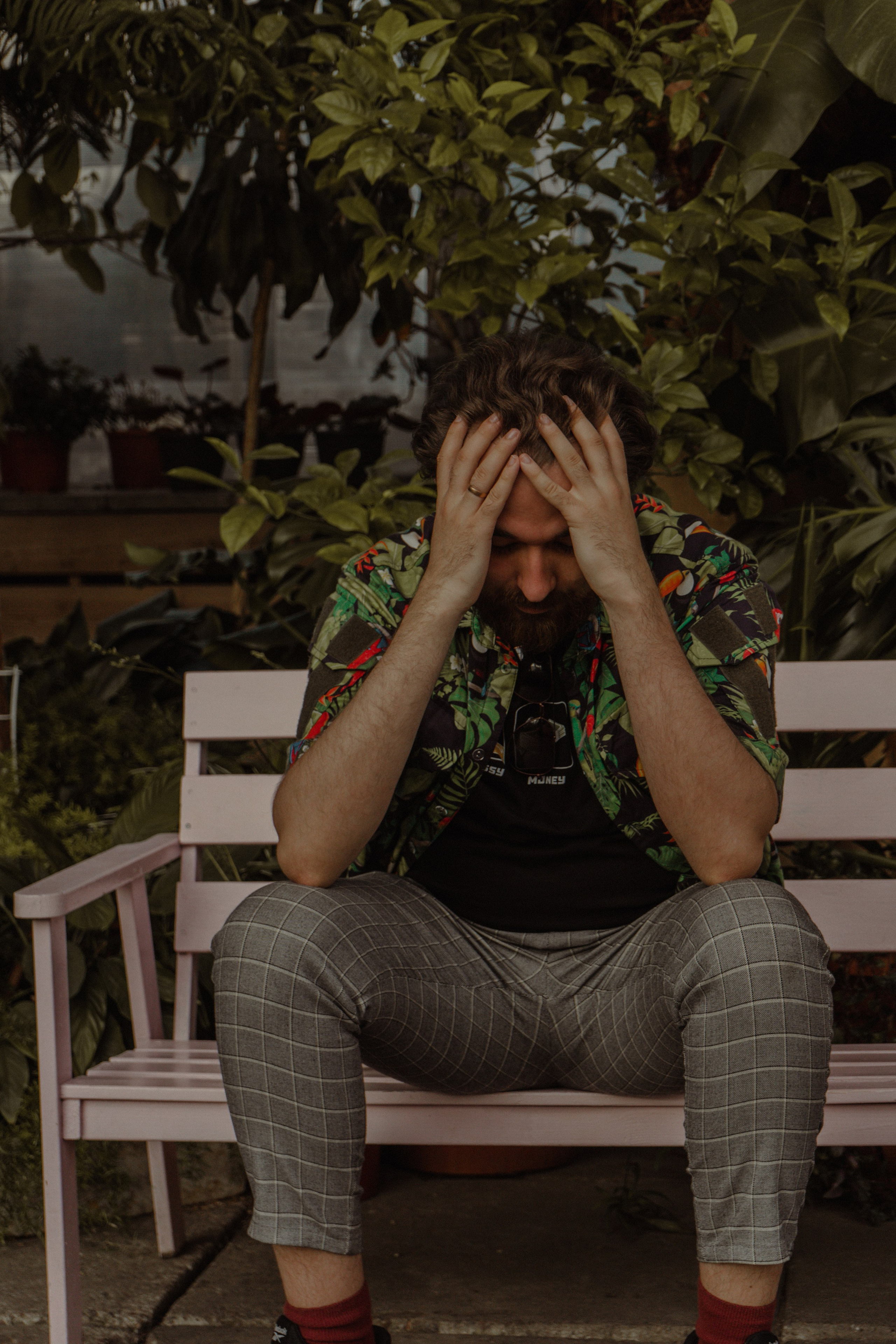 Глеб | Оранжерея Таврического сада. Фотограф предметной съемки, контент-фотограф, ретушер