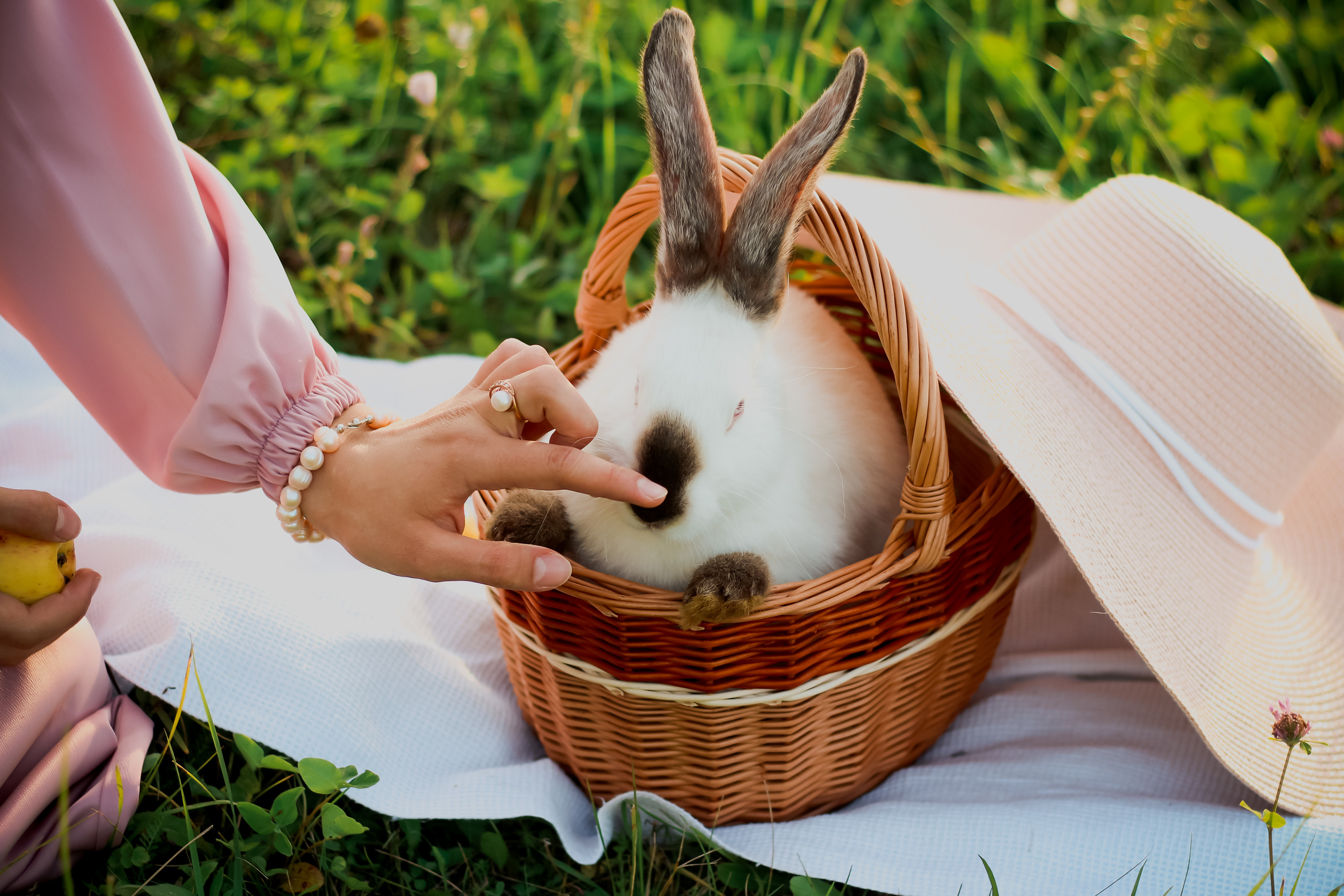 Гульназ с кроликом. Фотограф Сарбиназ Мустафина в Казани
