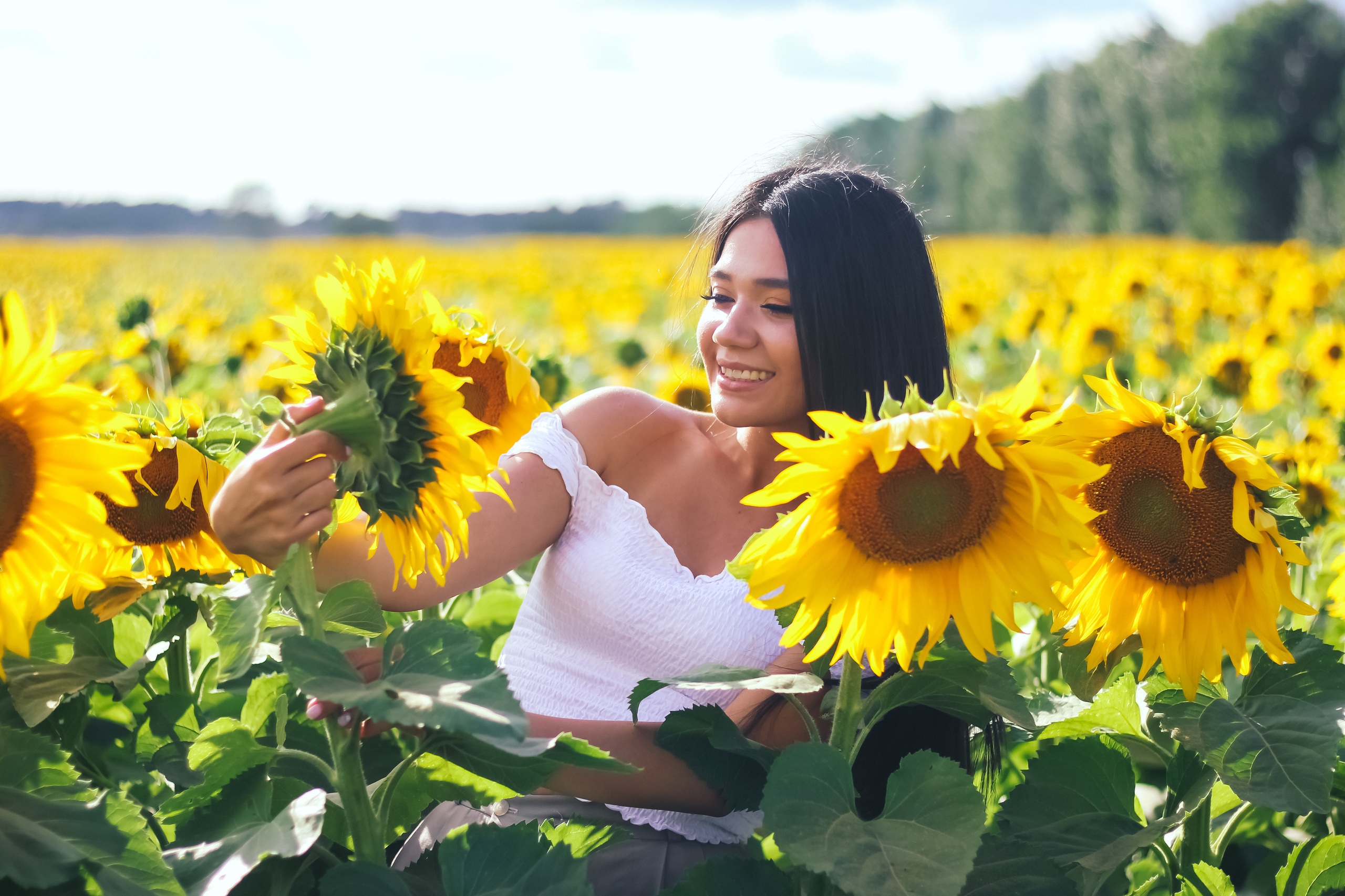 Гульназ в подсолнухах. Фотограф Сарбиназ Мустафина в Казани