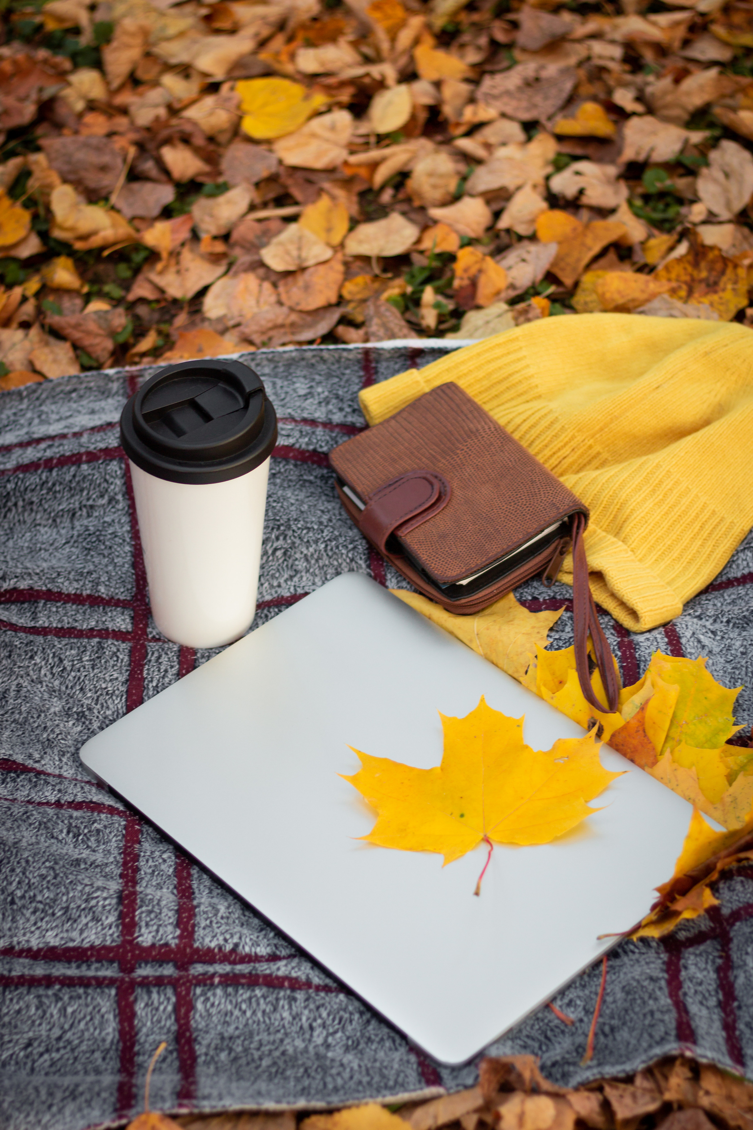 Алсу. Фотограф Сарбиназ Мустафина в Казани