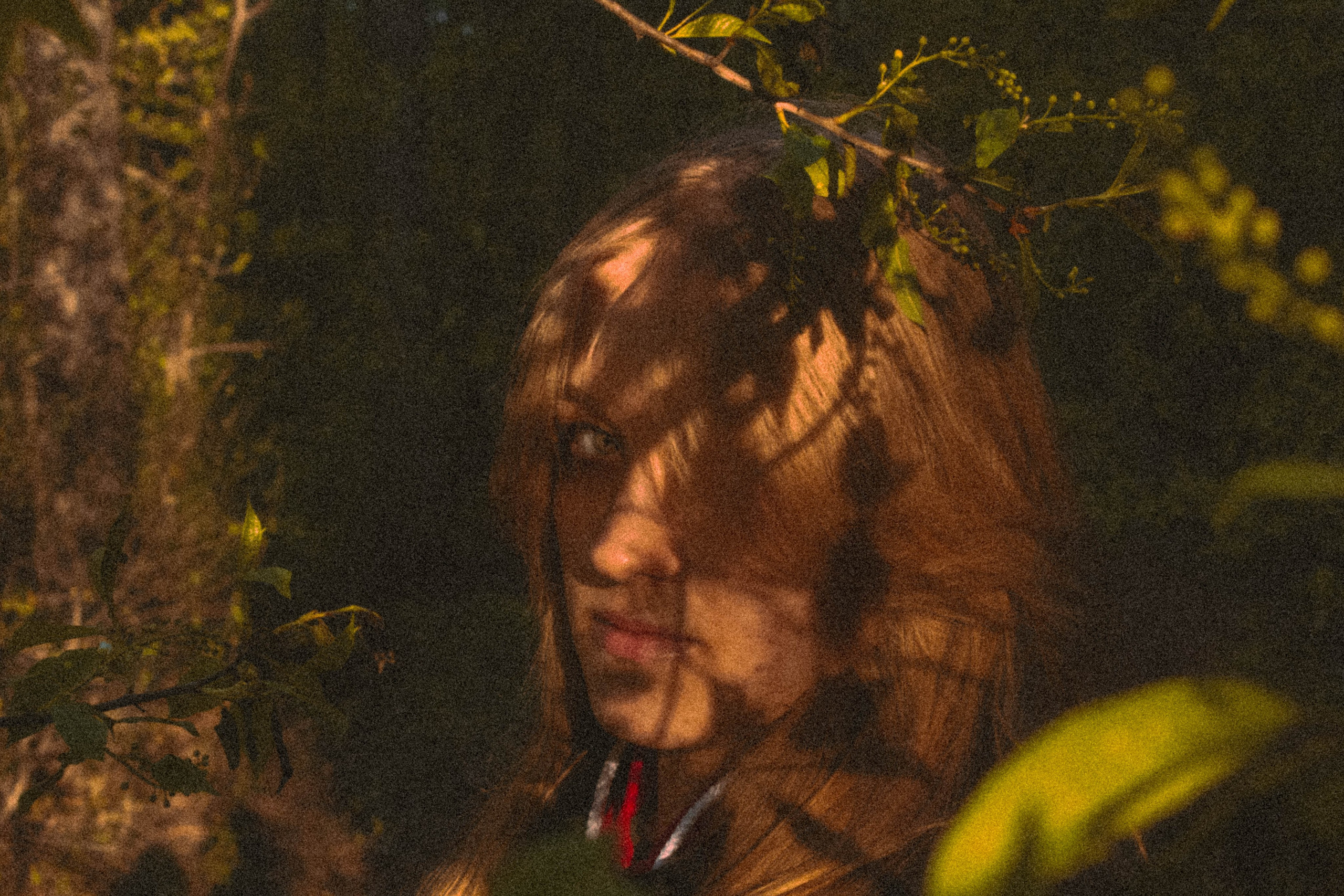 «Без названия»