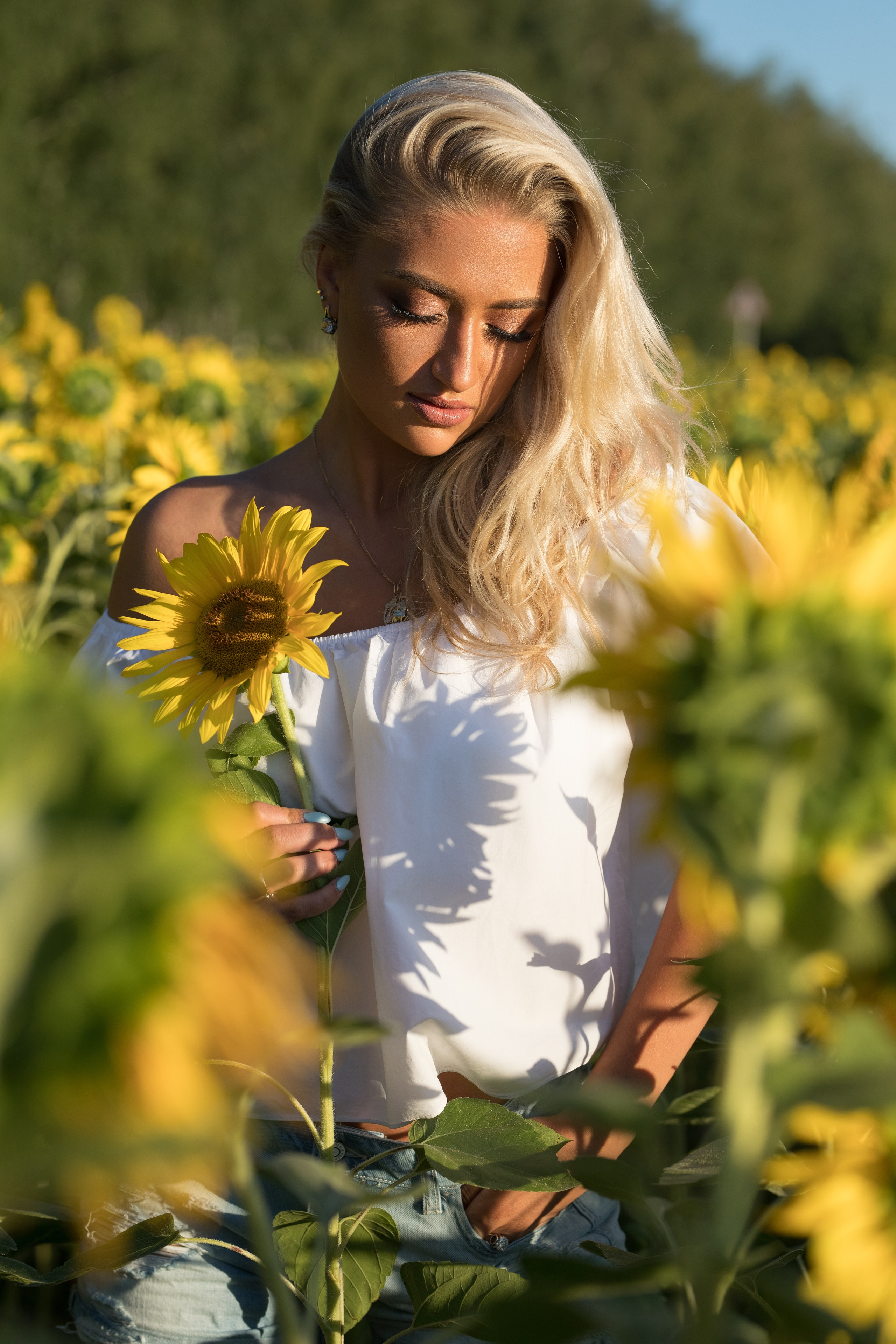 Фотосет в поле подсолнухов с Елизаветой для «себя»