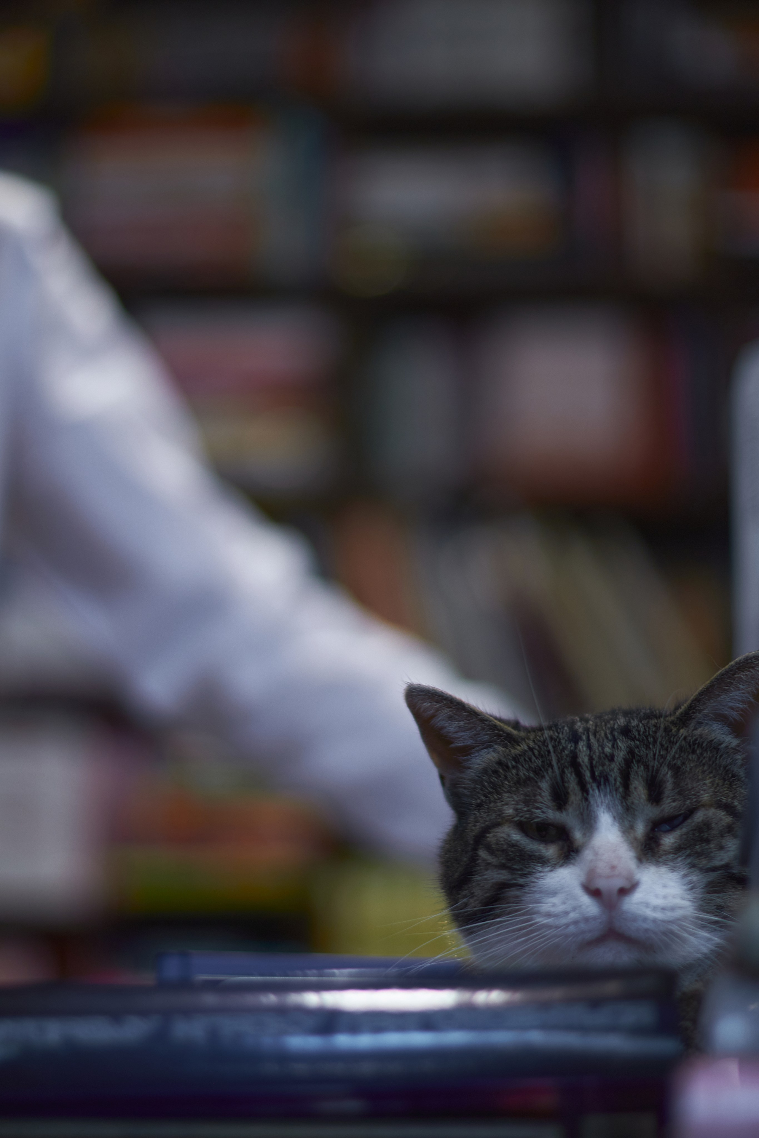 Мужская фотосессия в библиотеке. Семейный и свадебный фотограф в Краснодаре Михеева Светлана