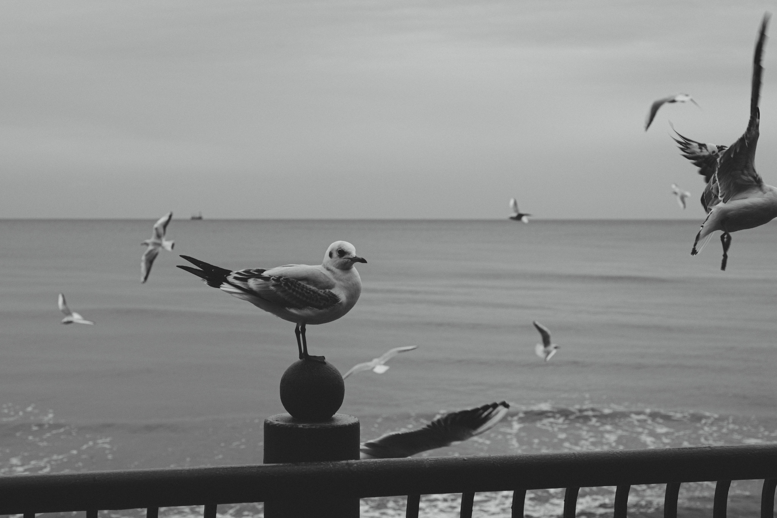 Калининград и его область: через объектив рекламного фотографа из Гуанчжо. Коммерческий и предметный фотограф в Гуанчжоу Коваленко Александр