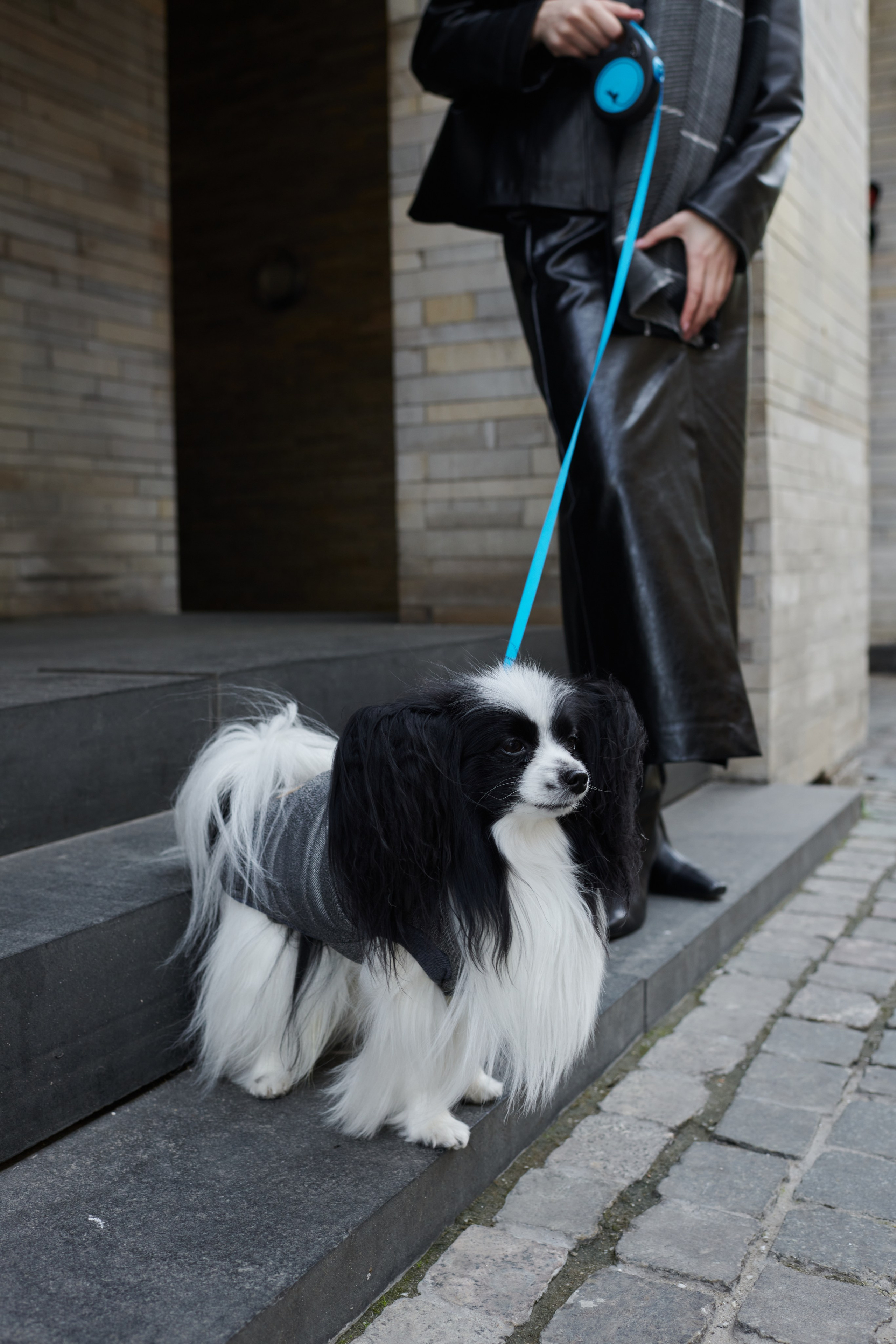 Имидж съемка для бренда Mellizos. Фотограф Москва