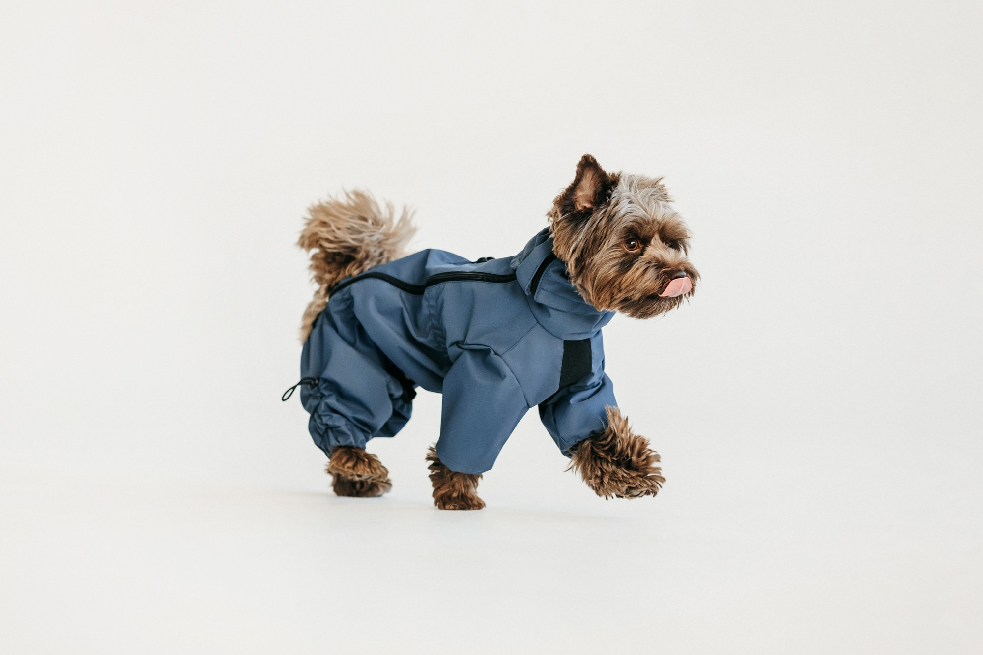 Одежда Lapa`s brand. Фотограф-анималист Елена Радченко, Москва