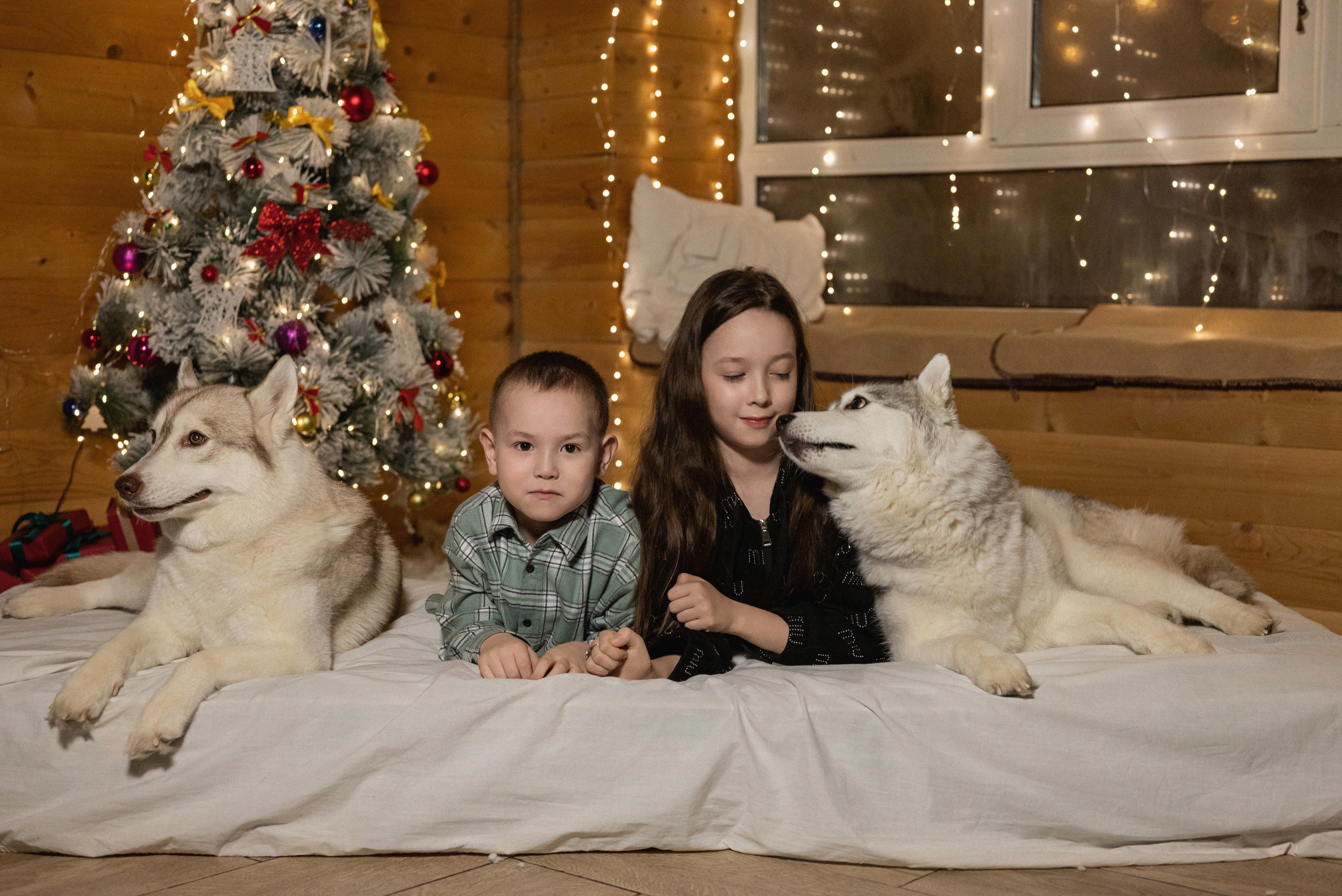 Фотопроект с хаски 2025 г. Фотограф в городе Салават