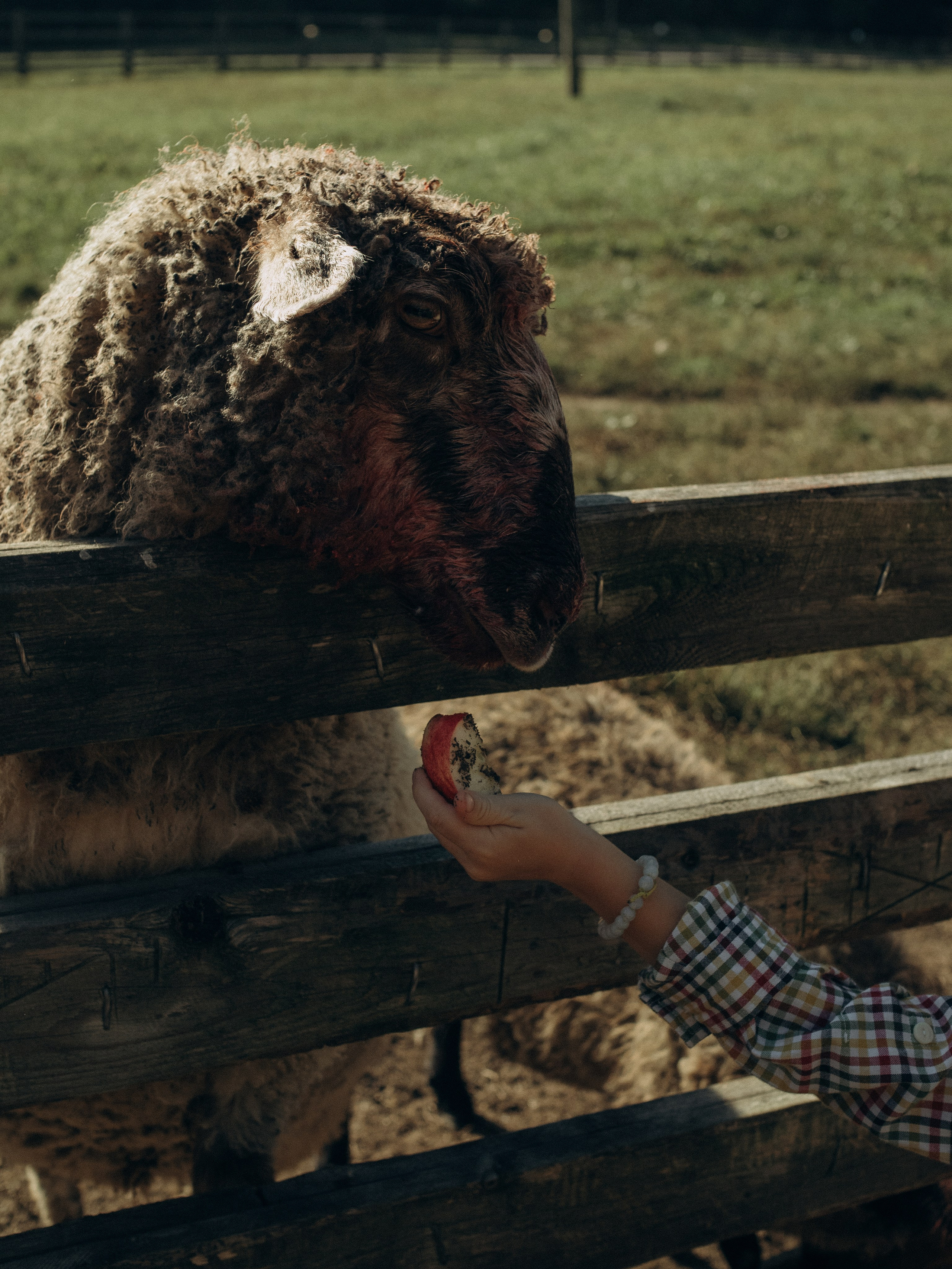 Fam2. Фотограф в Сортавала Карина Буглакова