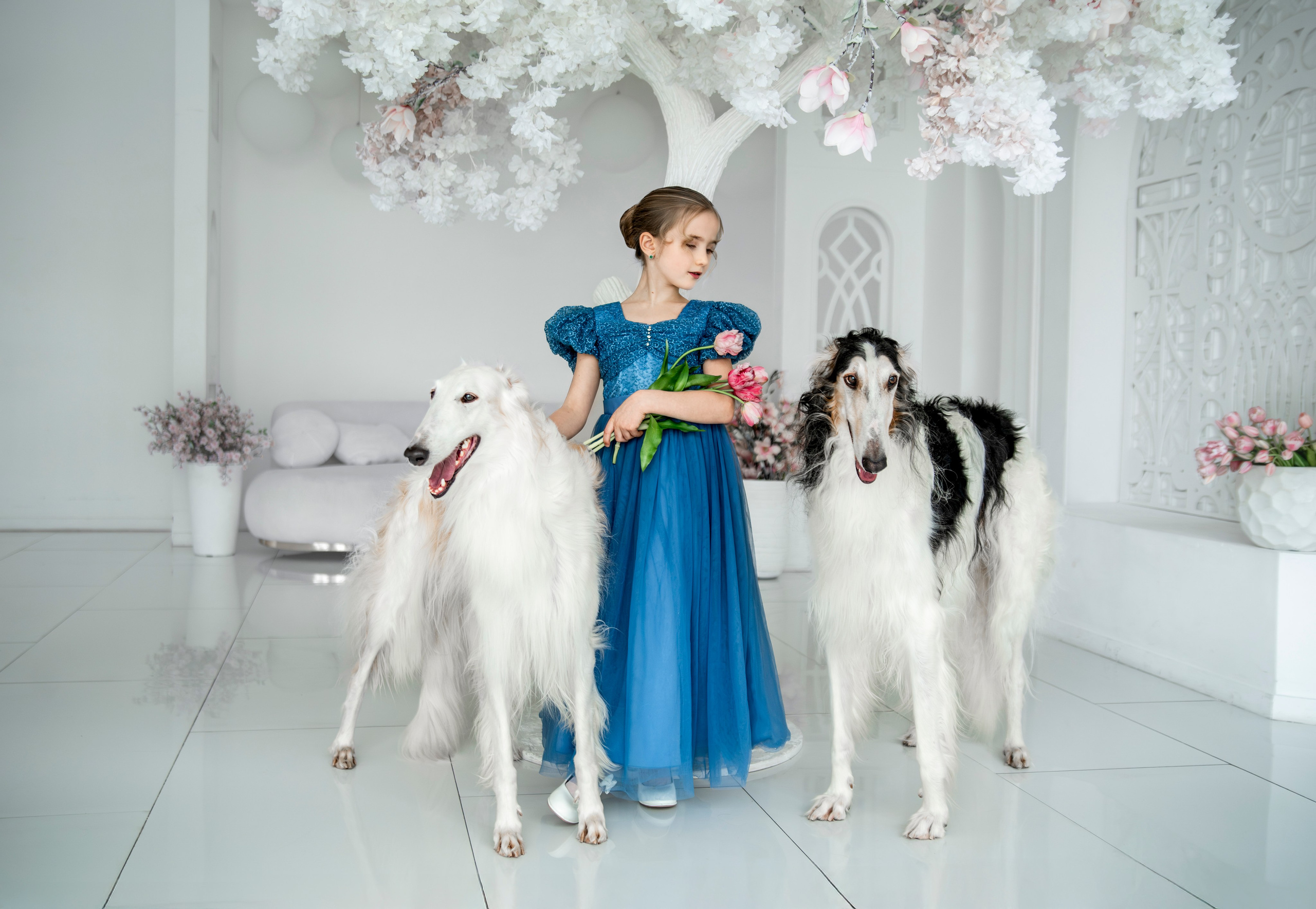 Съемки с собаками. Конный фотограф из Москвы Ирина Бондаркова