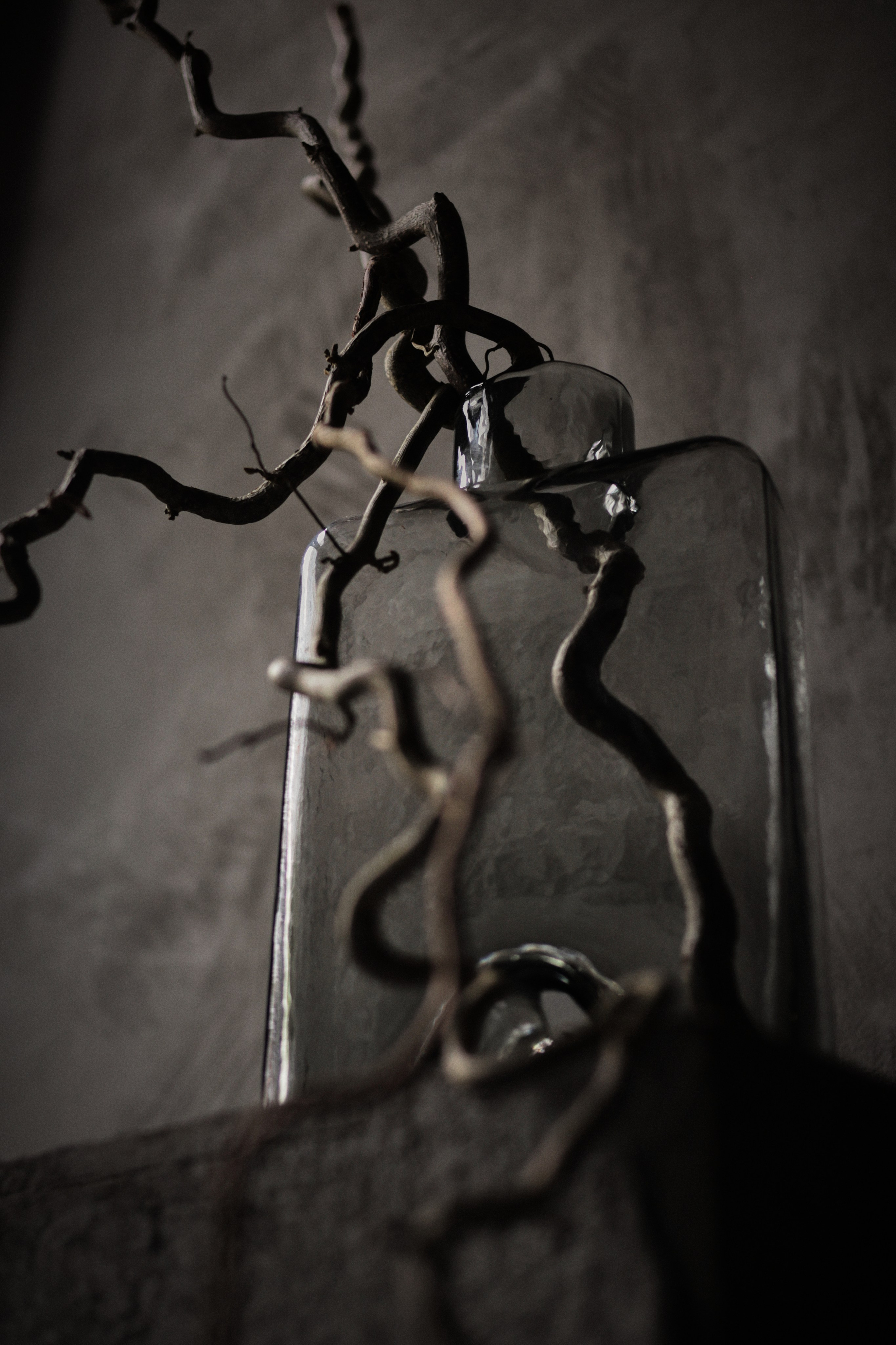 Flowers. Виктория Калугина — фотограф и видеомейкер в Москве