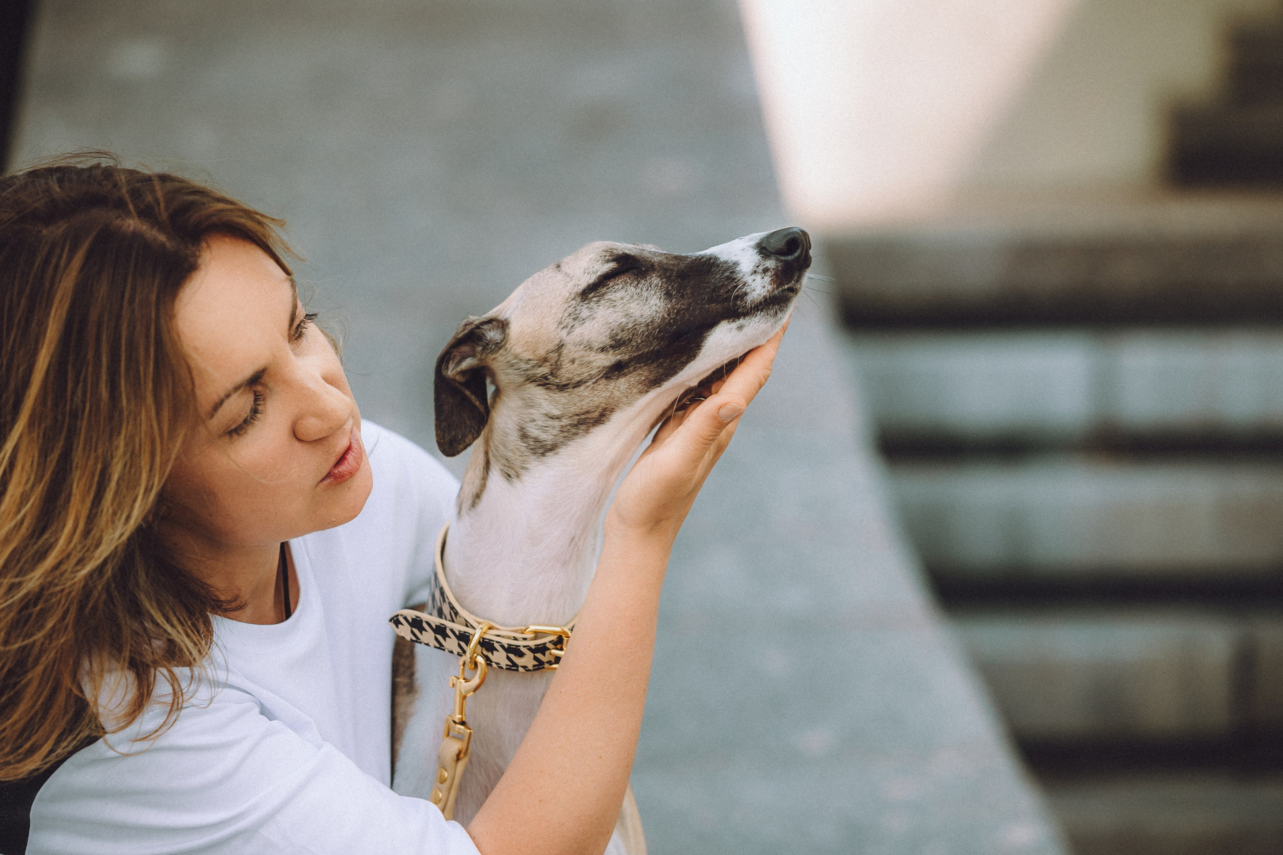 Ирина, Илья и Рик