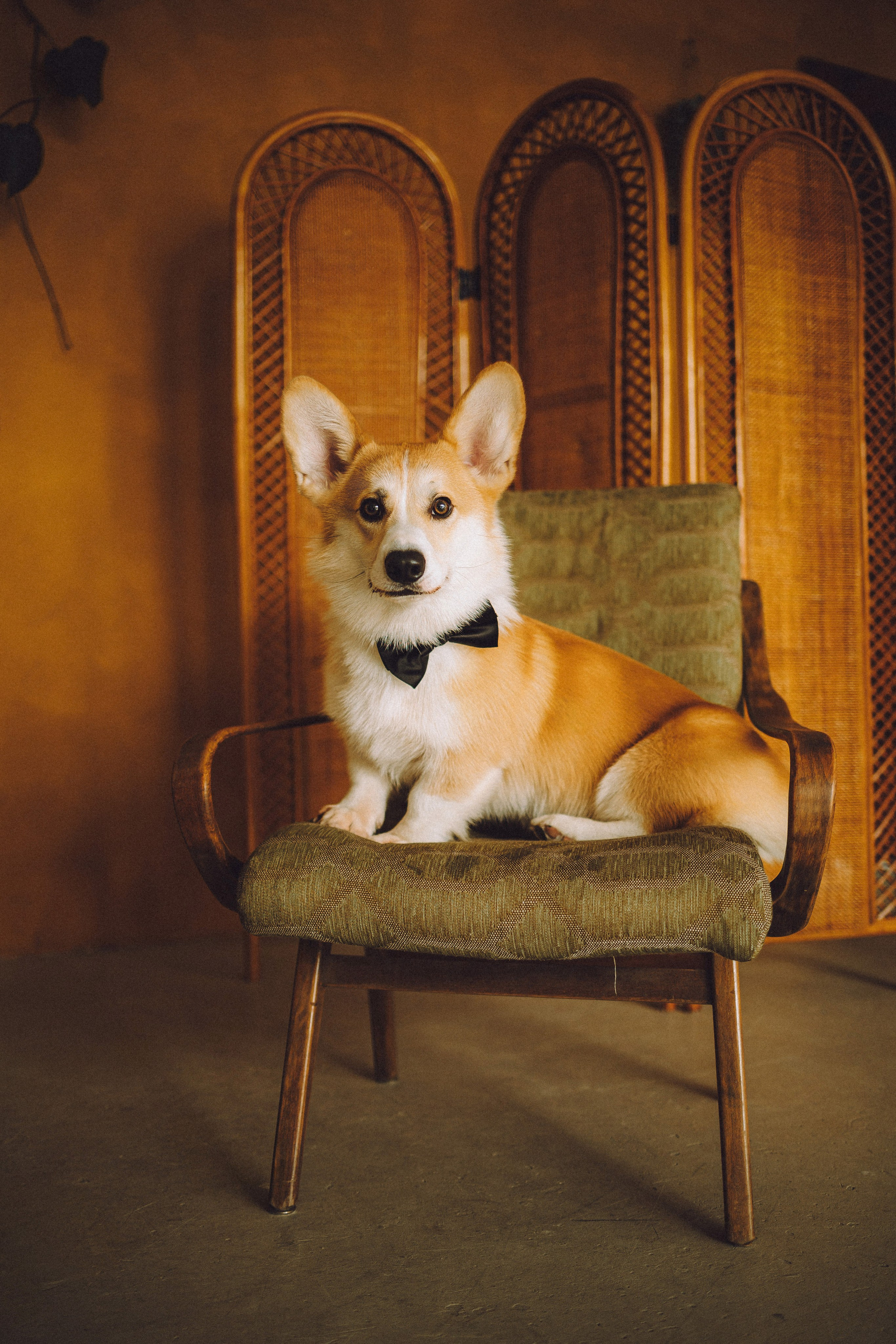 Наталья, Евгений и Мерлин