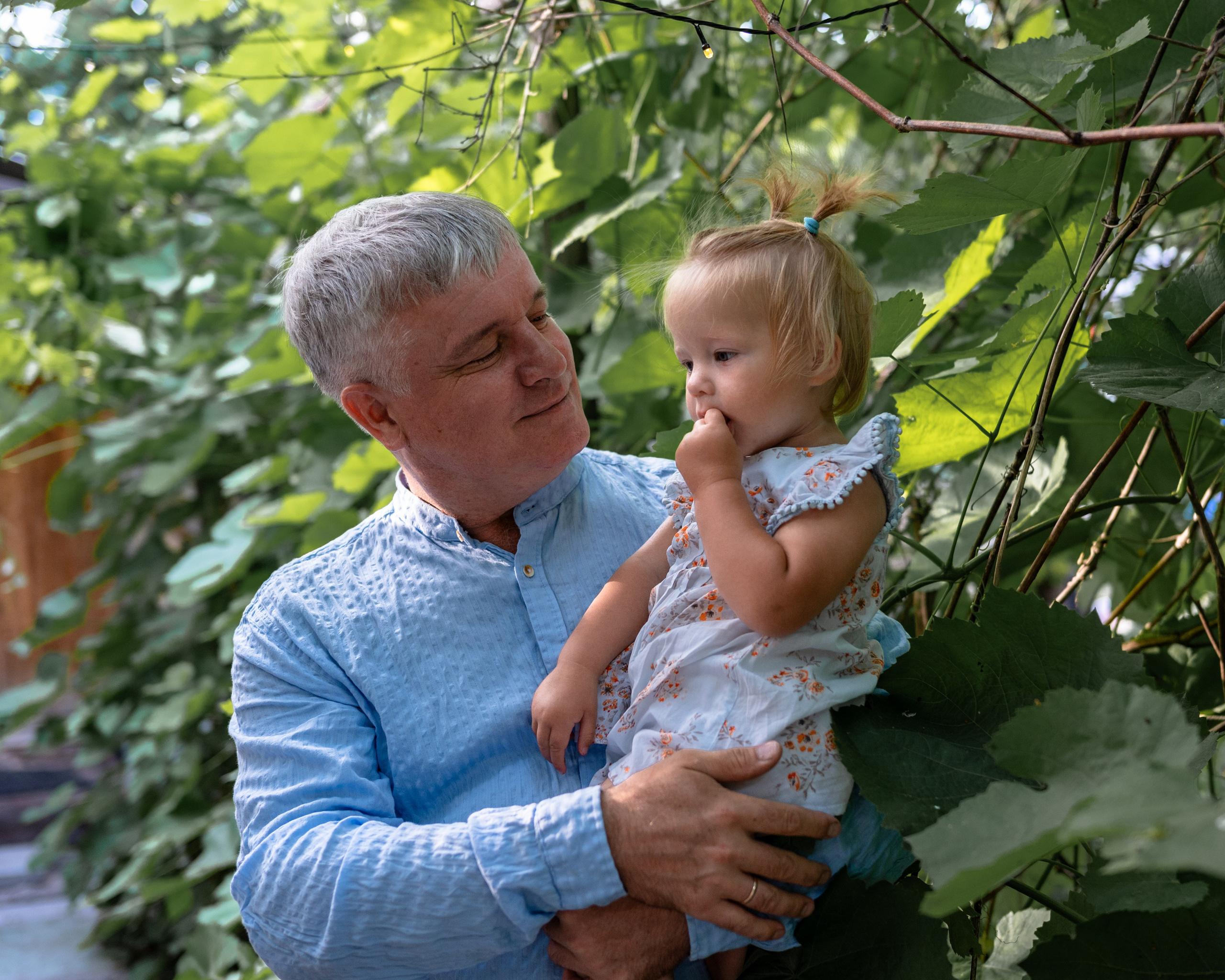 Ромашки и утята. Главная