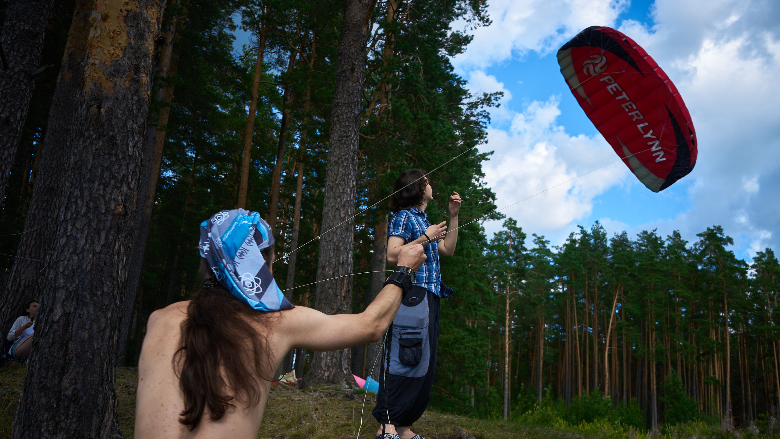 Теневой: Загородный форум с целью восстановления территории