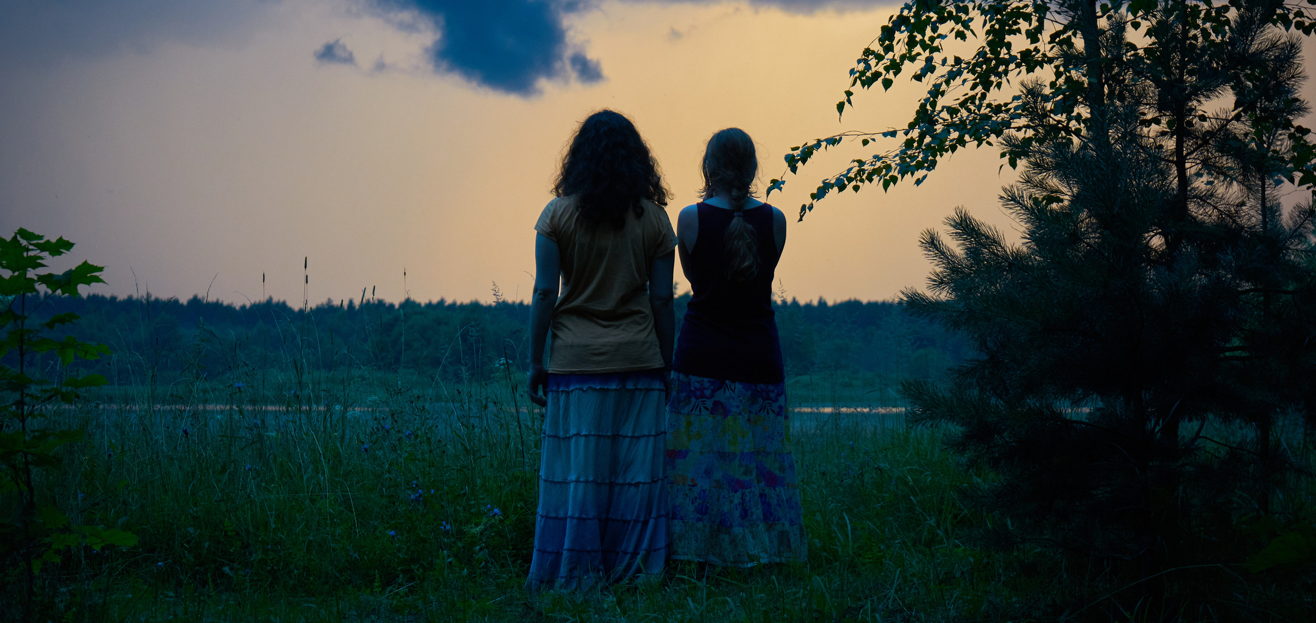 Теневой: Загородный форум с целью восстановления территории