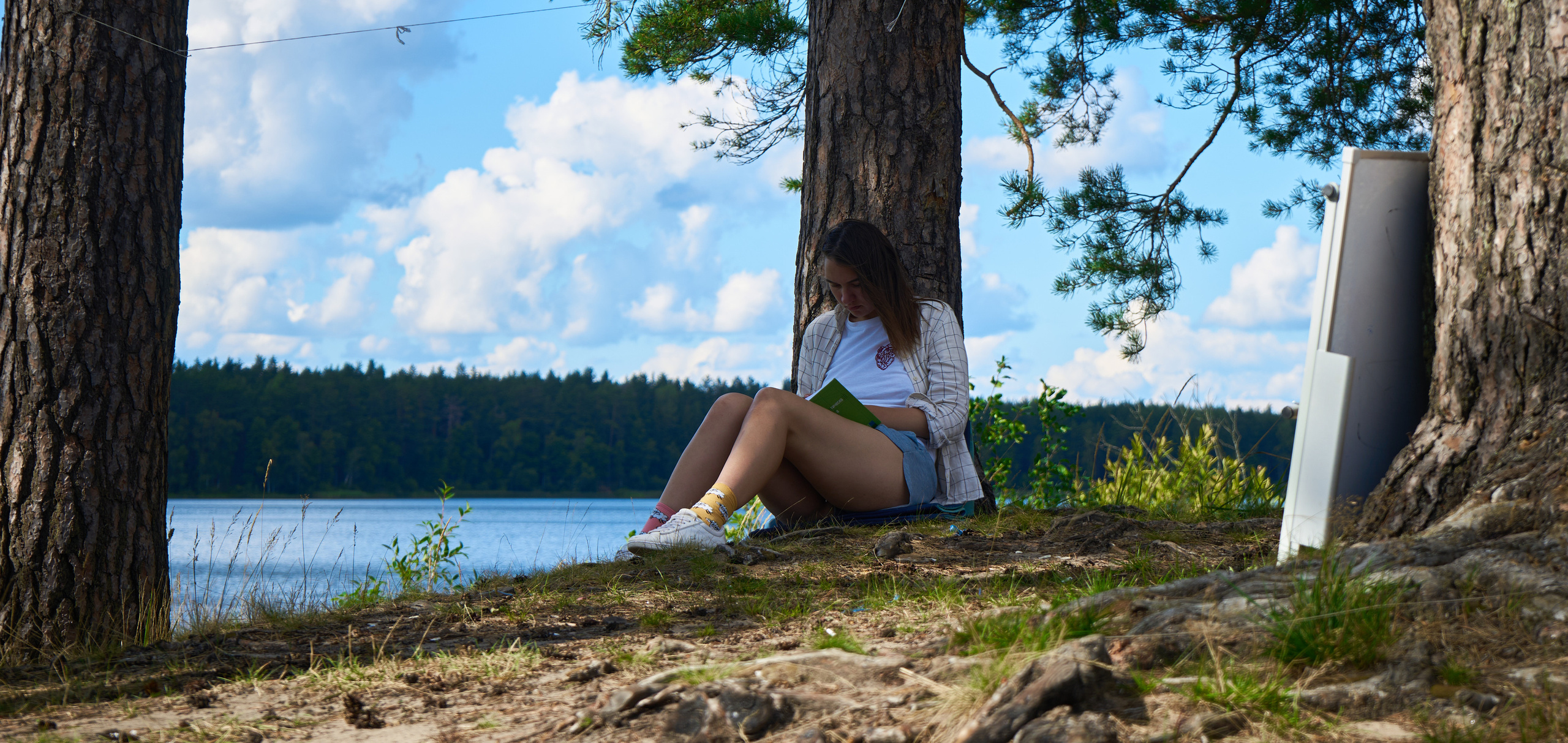 Теневой: Загородный форум с целью восстановления территории
