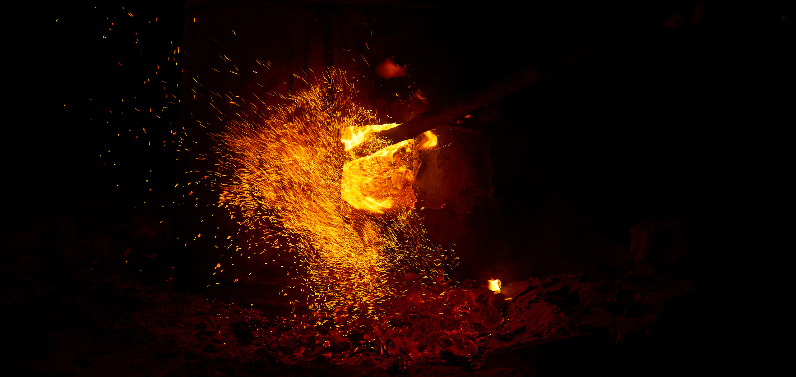 Теневой: Загородный форум с целью восстановления территории