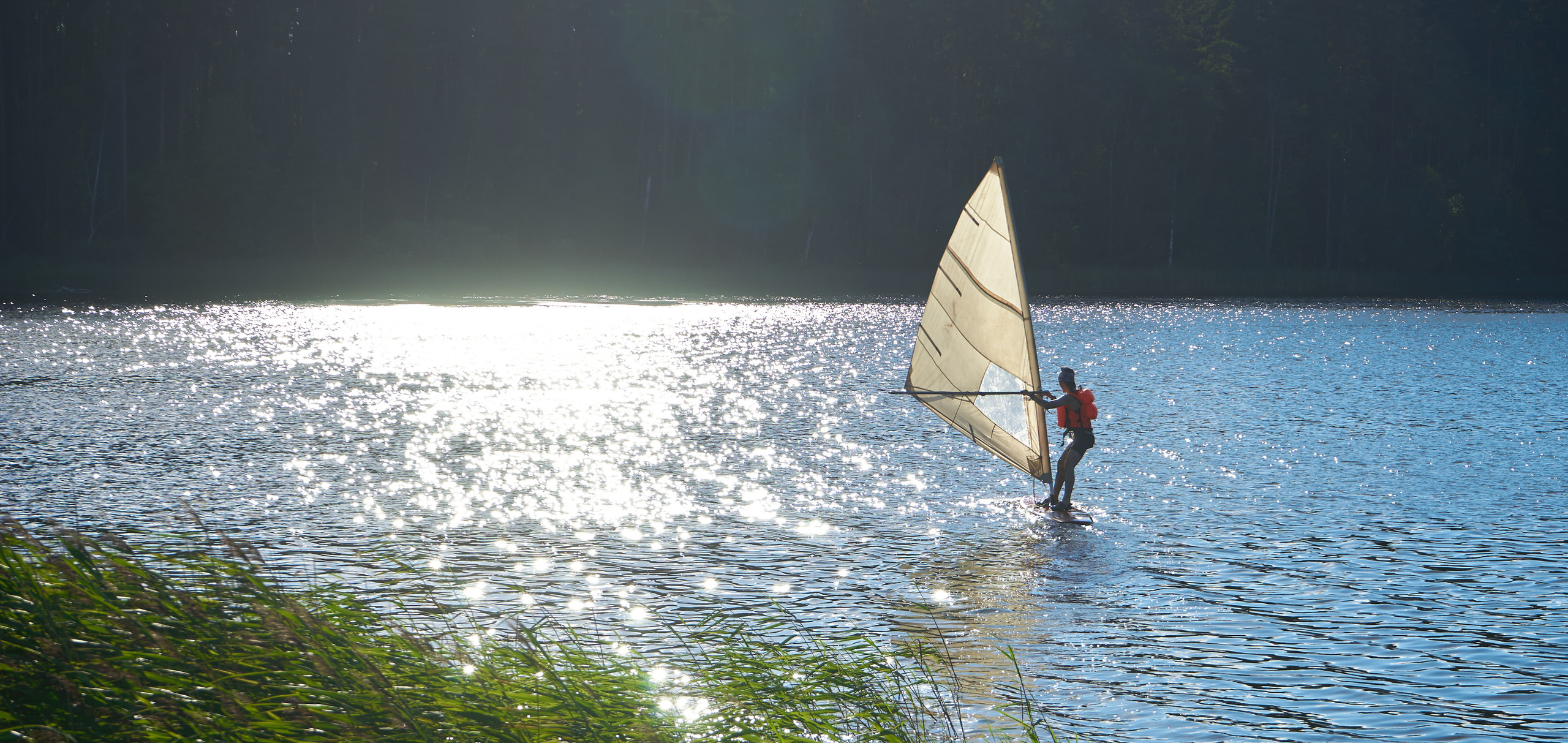 Теневой: Загородный форум с целью восстановления территории