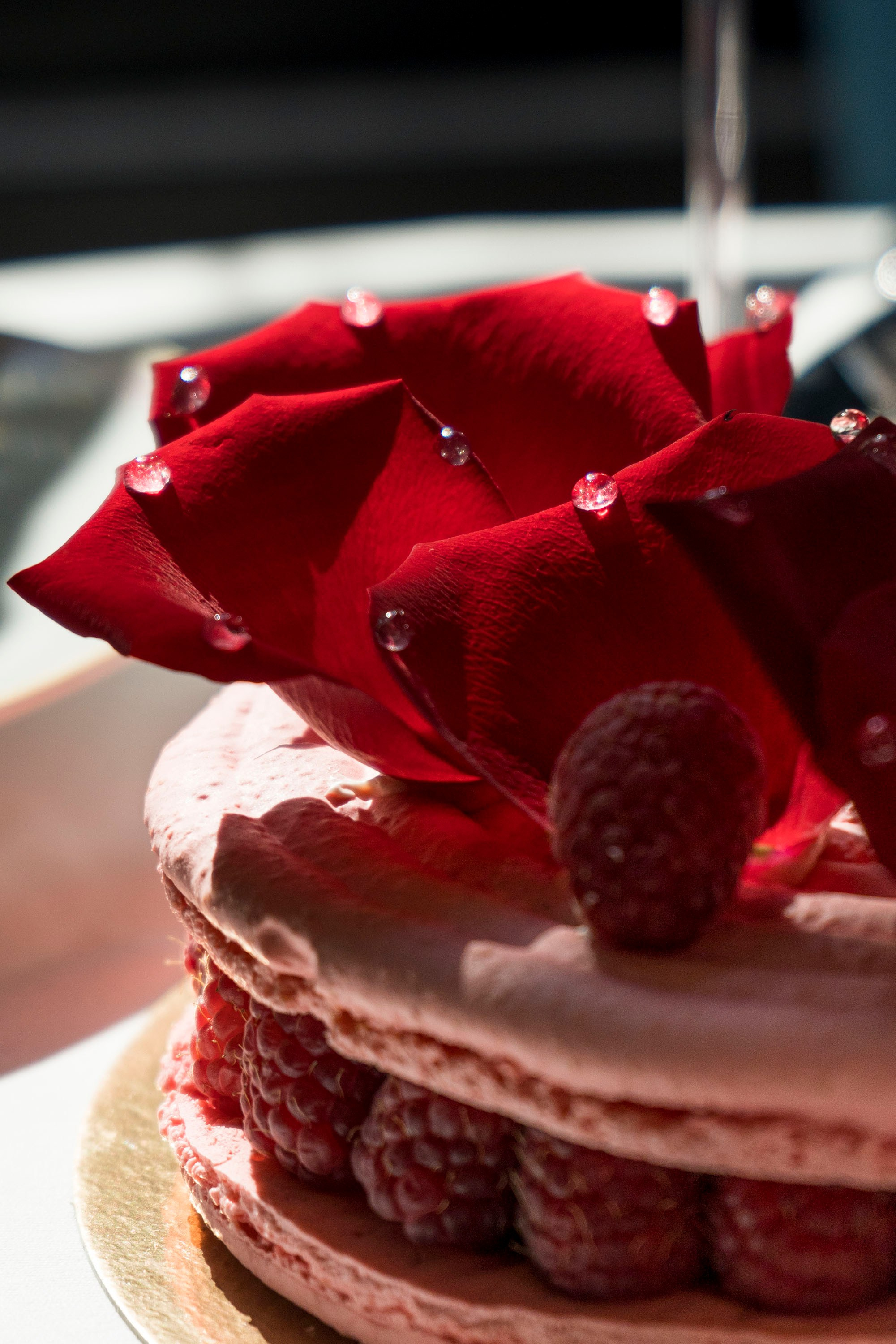 Ladurée à-la Russe. Фотограф в Москве Маленкова Дарья