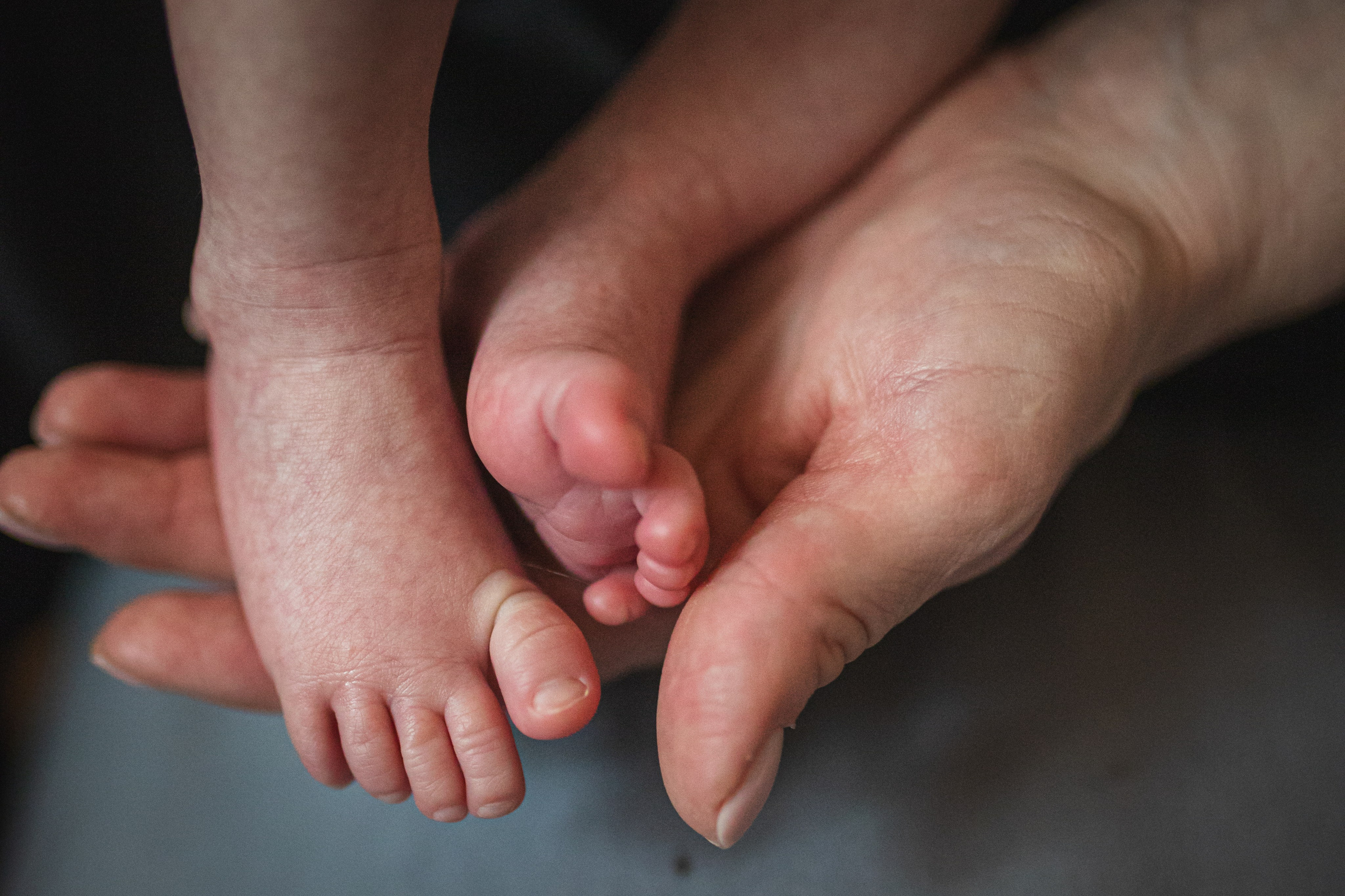 Младший брат. Семейный и школьный фотограф в Москве Анна Ткач
