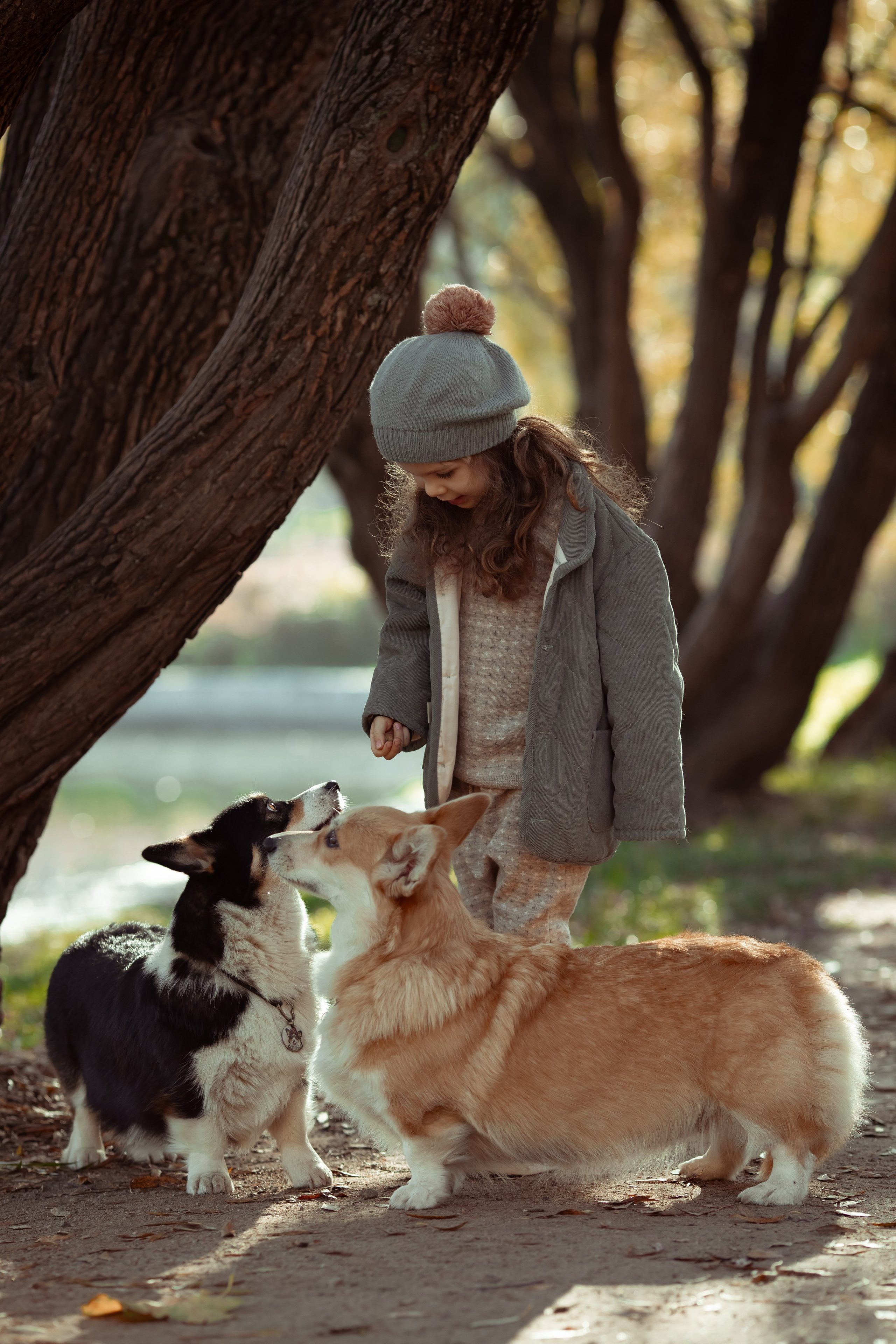 Эва с корги. Семейный и детский фотограф в Москве Дорогова Екатерина