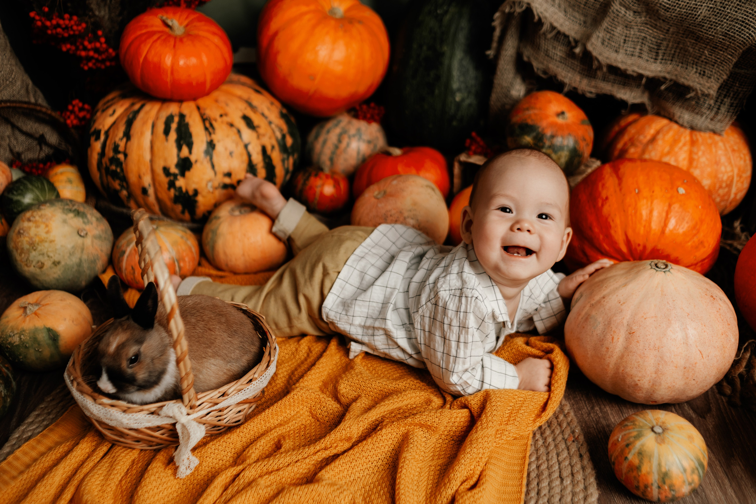 Фотопроекты. Фотограф новорождённых семейный фотограф Томск Елена Каплина